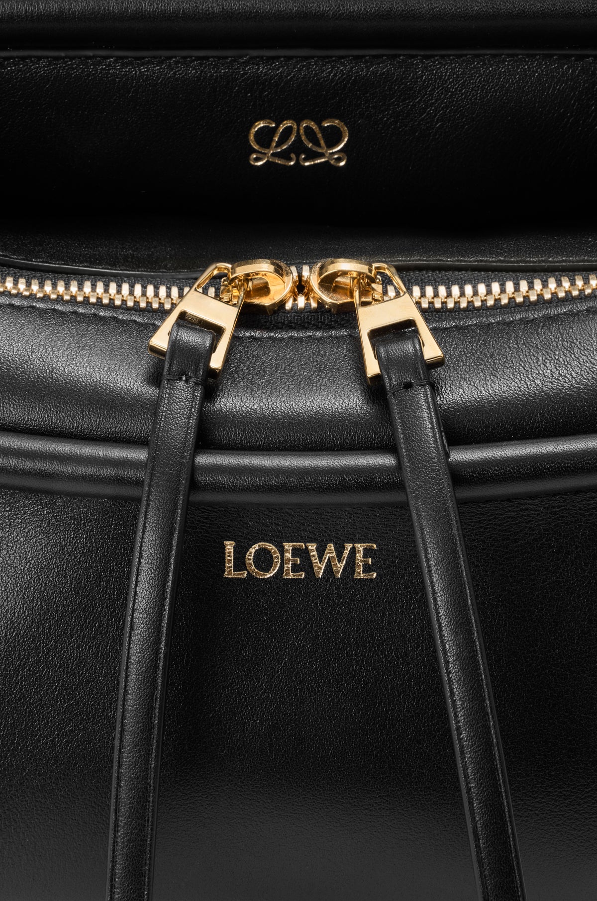 Loewe Small Whisker bag in glazed calfskin