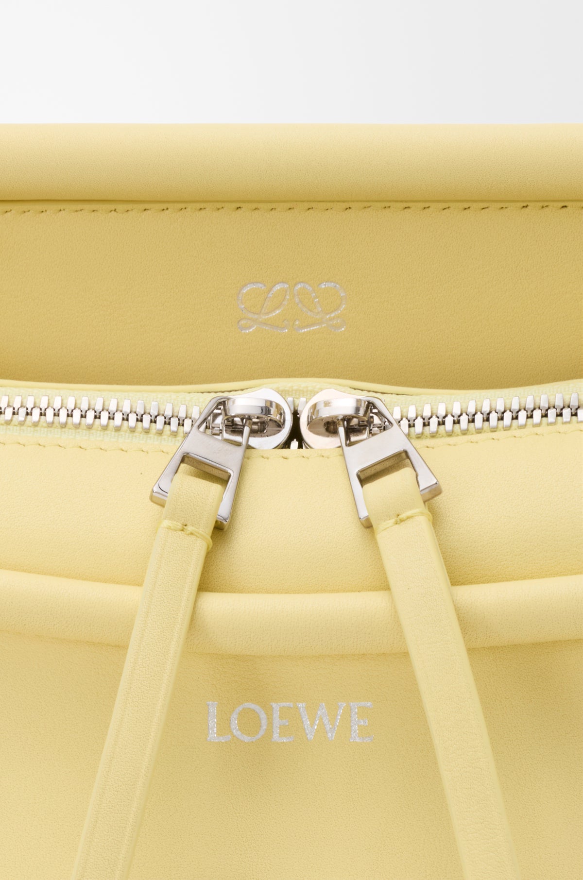 Loewe Small Whisker bag in glazed calfskin
