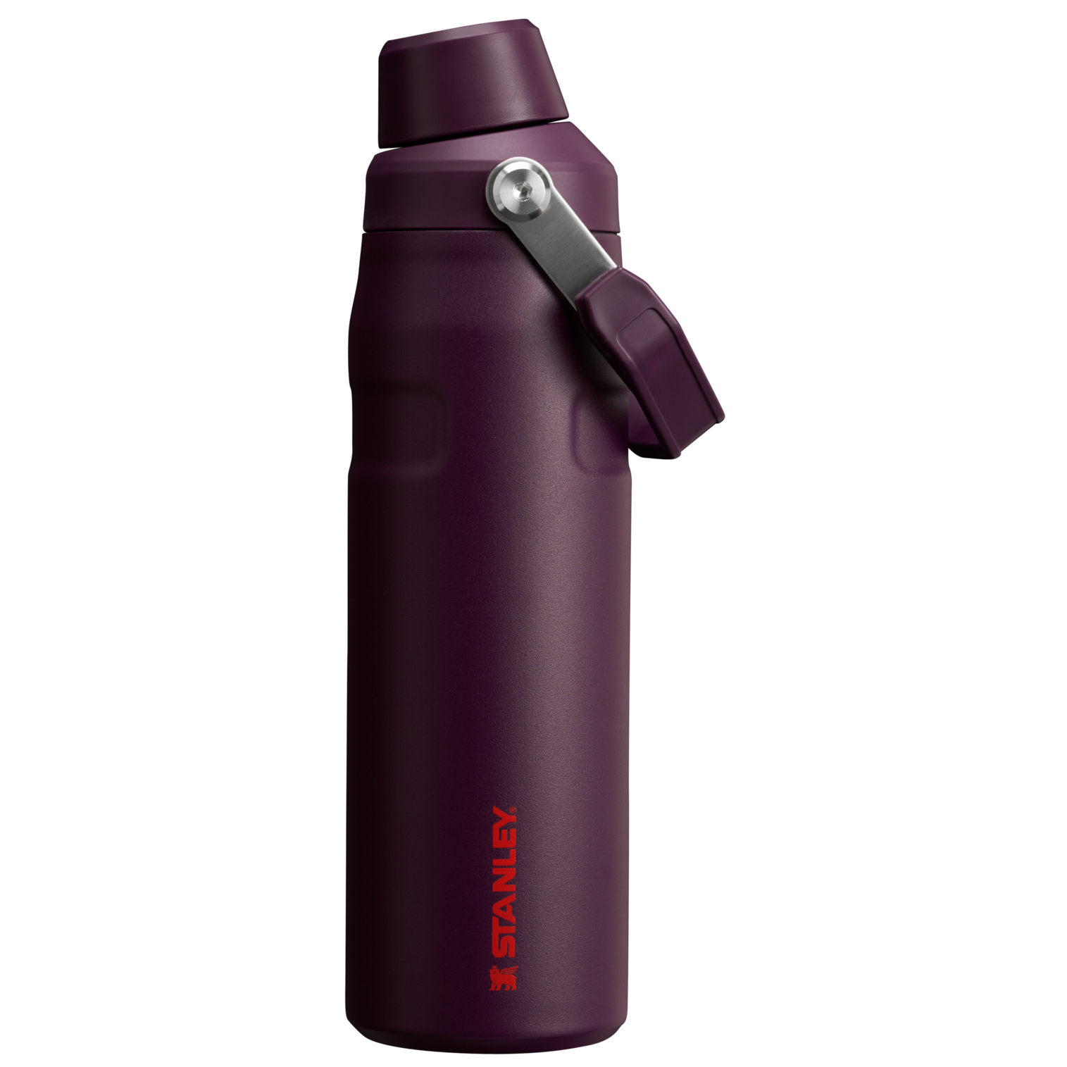 IceFlow Bottle with Fast Flow Lid | 24 OZ Plum Plum