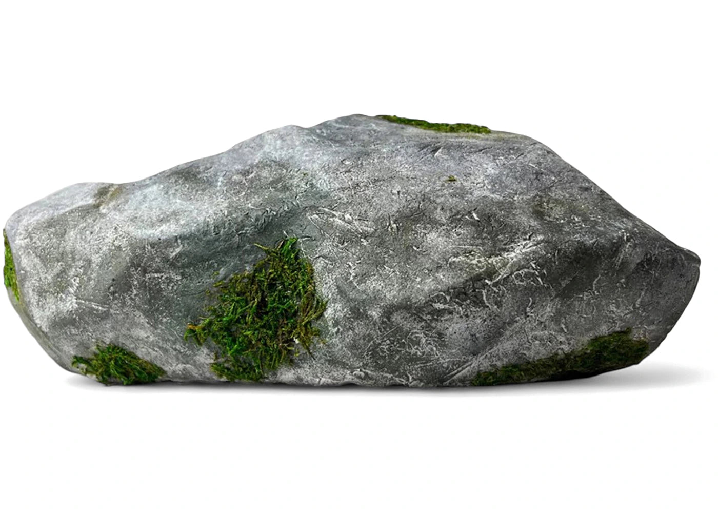 Bravest Studios Rock Shoe Canyaon Granite
