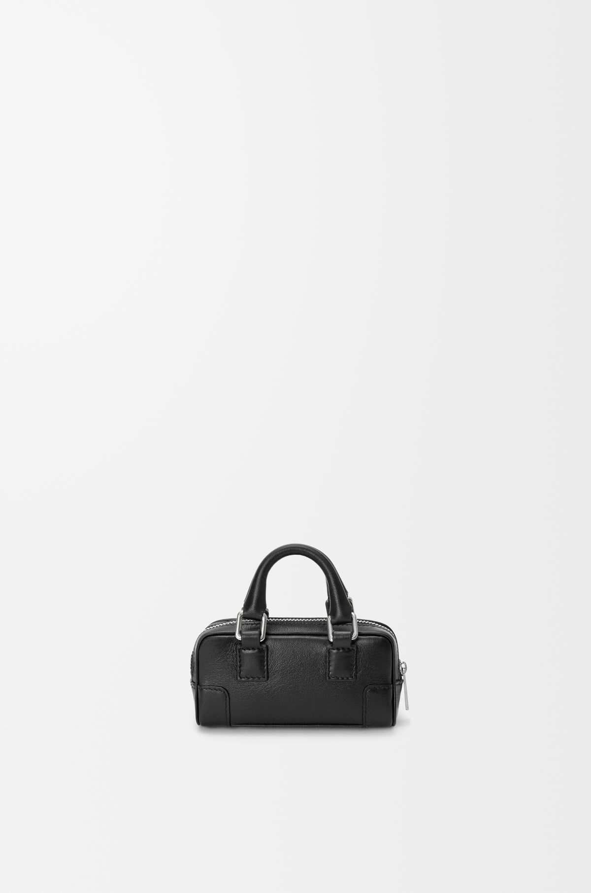 Loewe Amazona Nano in shiny calfskin