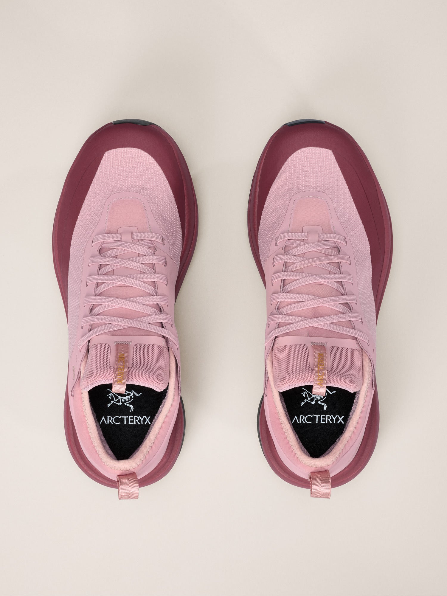 Arcteryx Outlet Sylan Gtx Shoe Womens Dk Bliss Mars