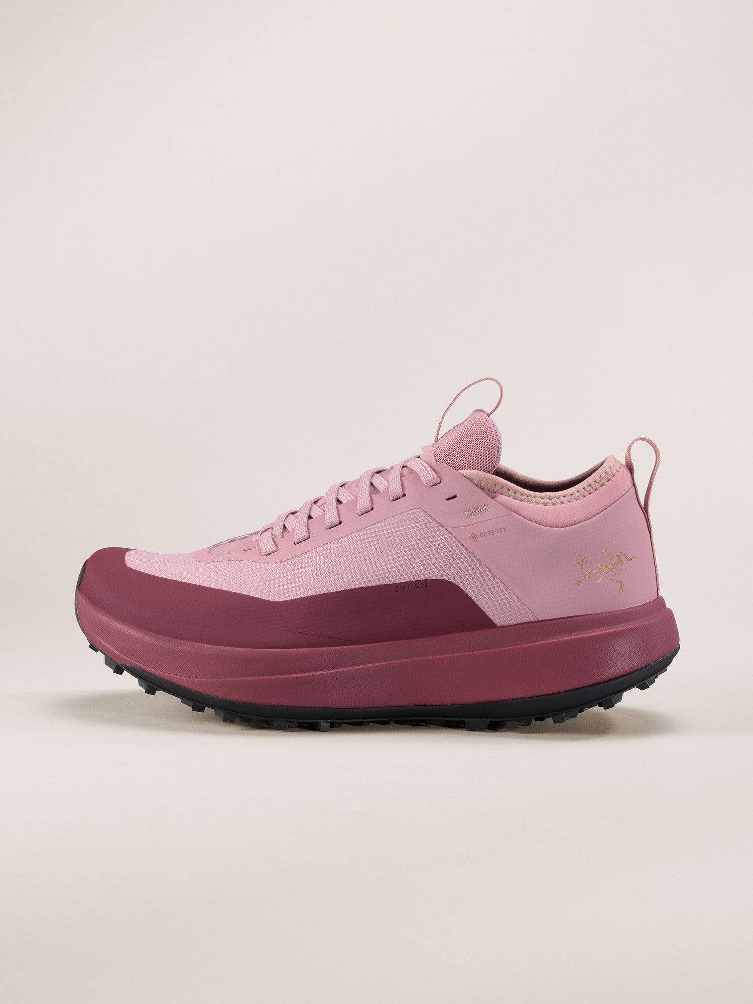 Arcteryx Outlet Sylan Gtx Shoe Womens Dk Bliss Mars