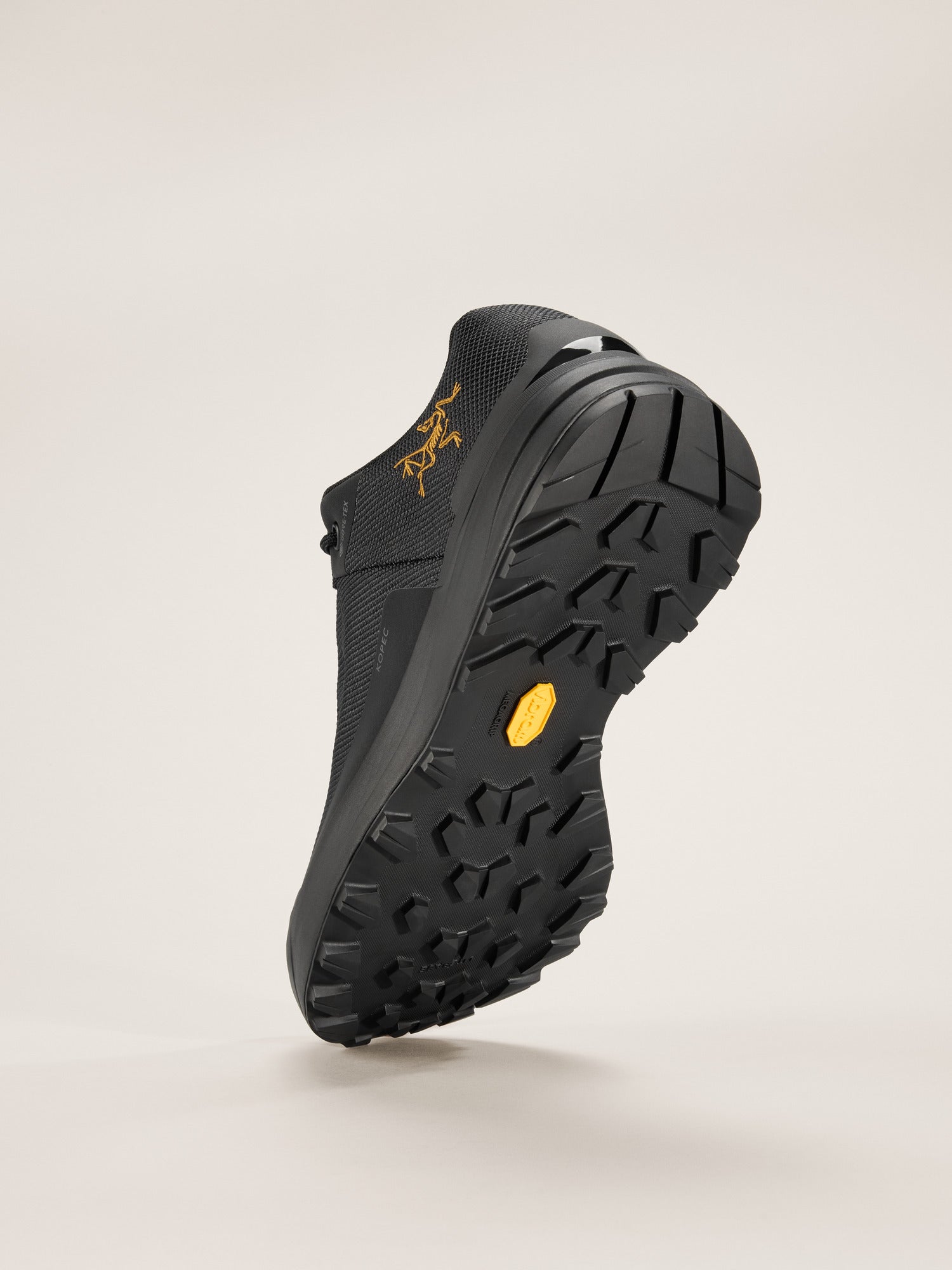 Arcteryx Kopec Gtx Shoe Womens Black Yukon
