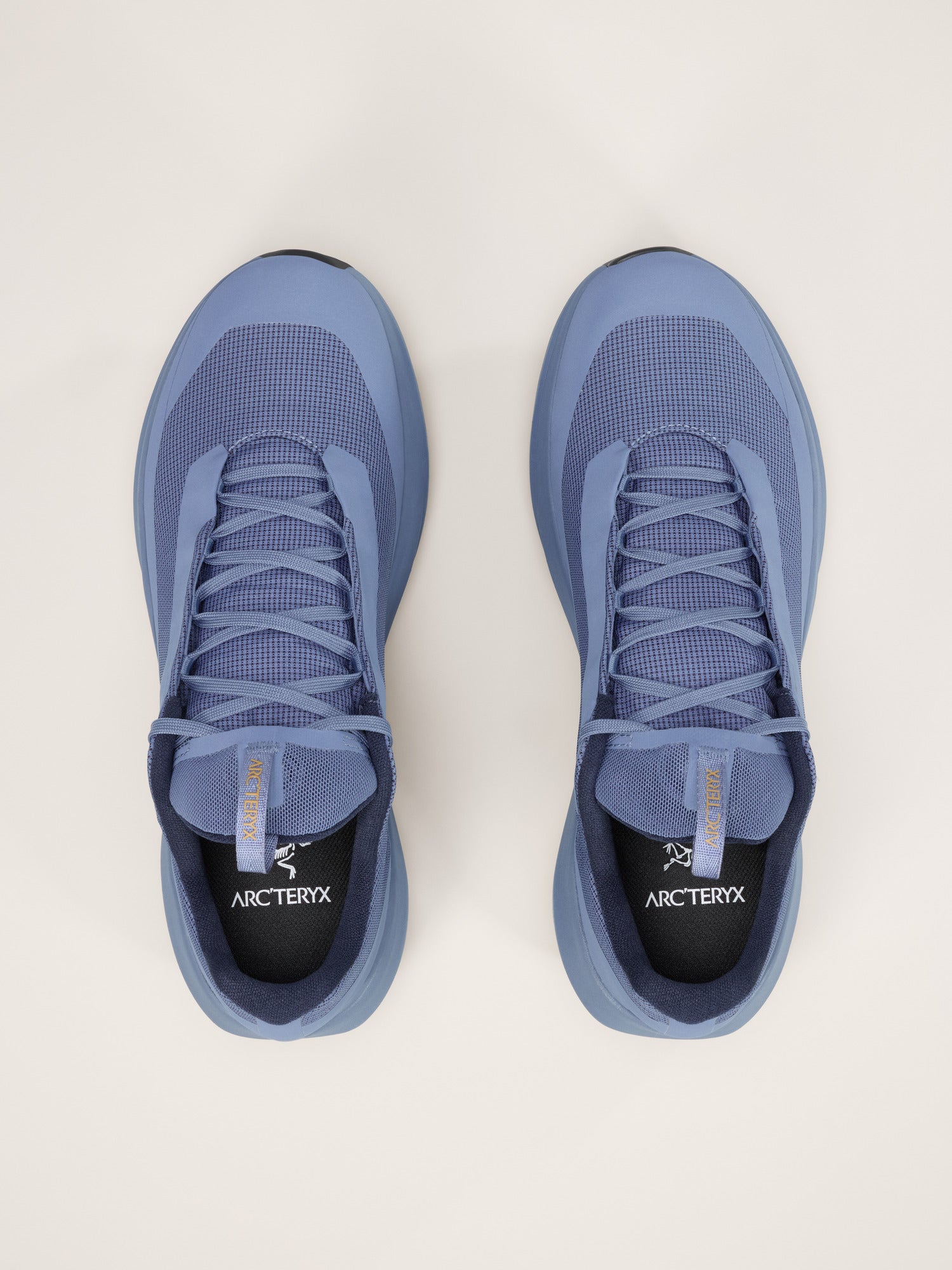 Arcteryx Outlet Norvan Ld 4 Gtx Shoe Mens Lt Black Sapphire