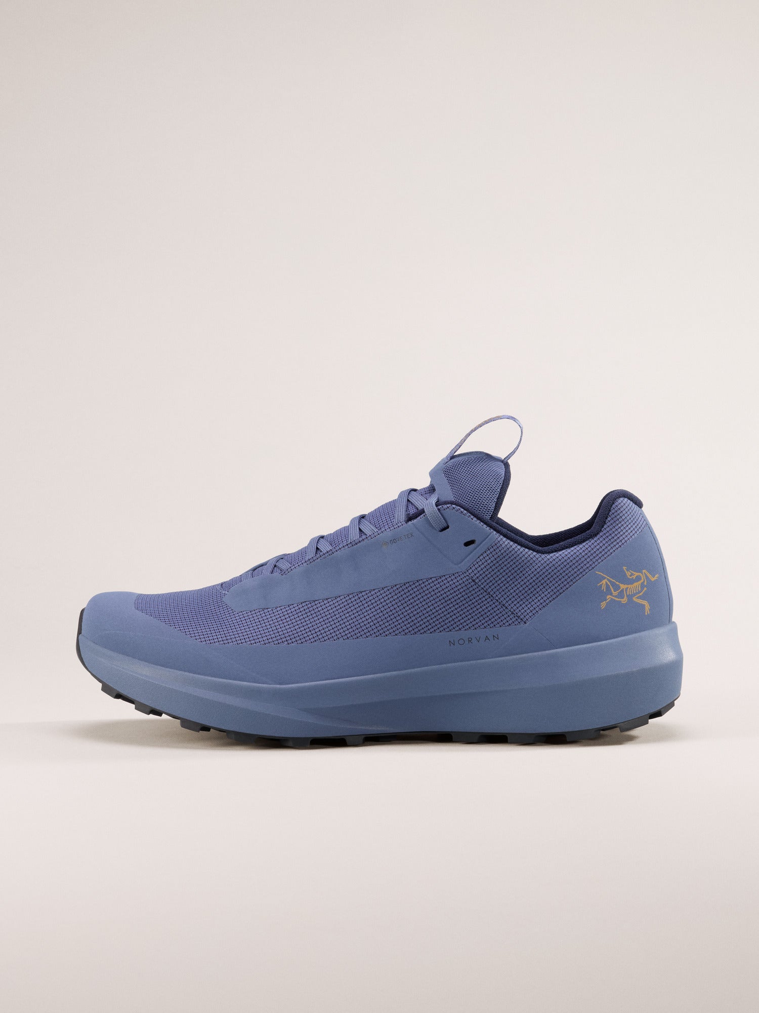 Arcteryx Outlet Norvan Ld 4 Gtx Shoe Mens Lt Black Sapphire