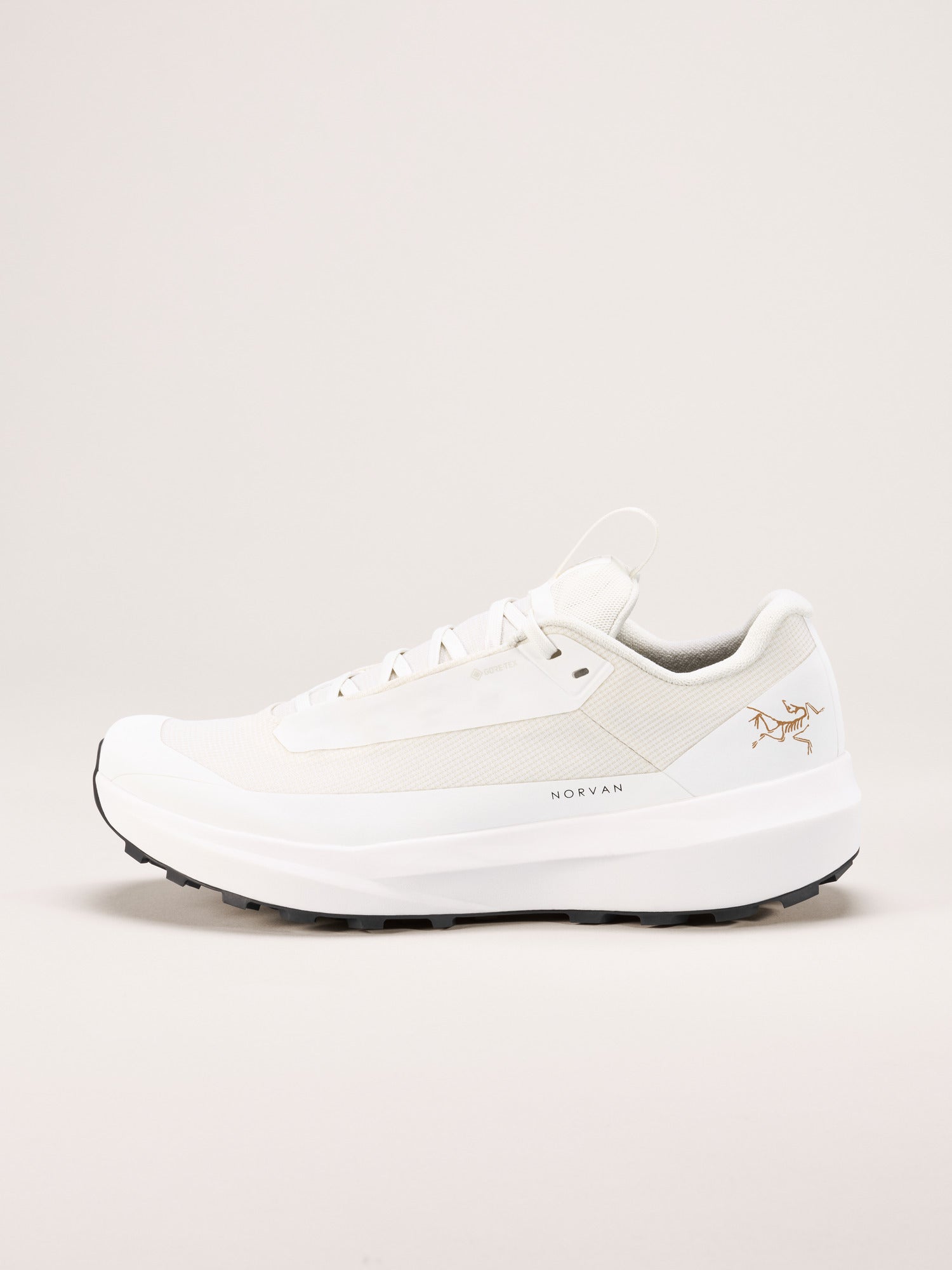 Arcteryx Norvan Ld 4 Gtx Shoe Womens Arctic Silk