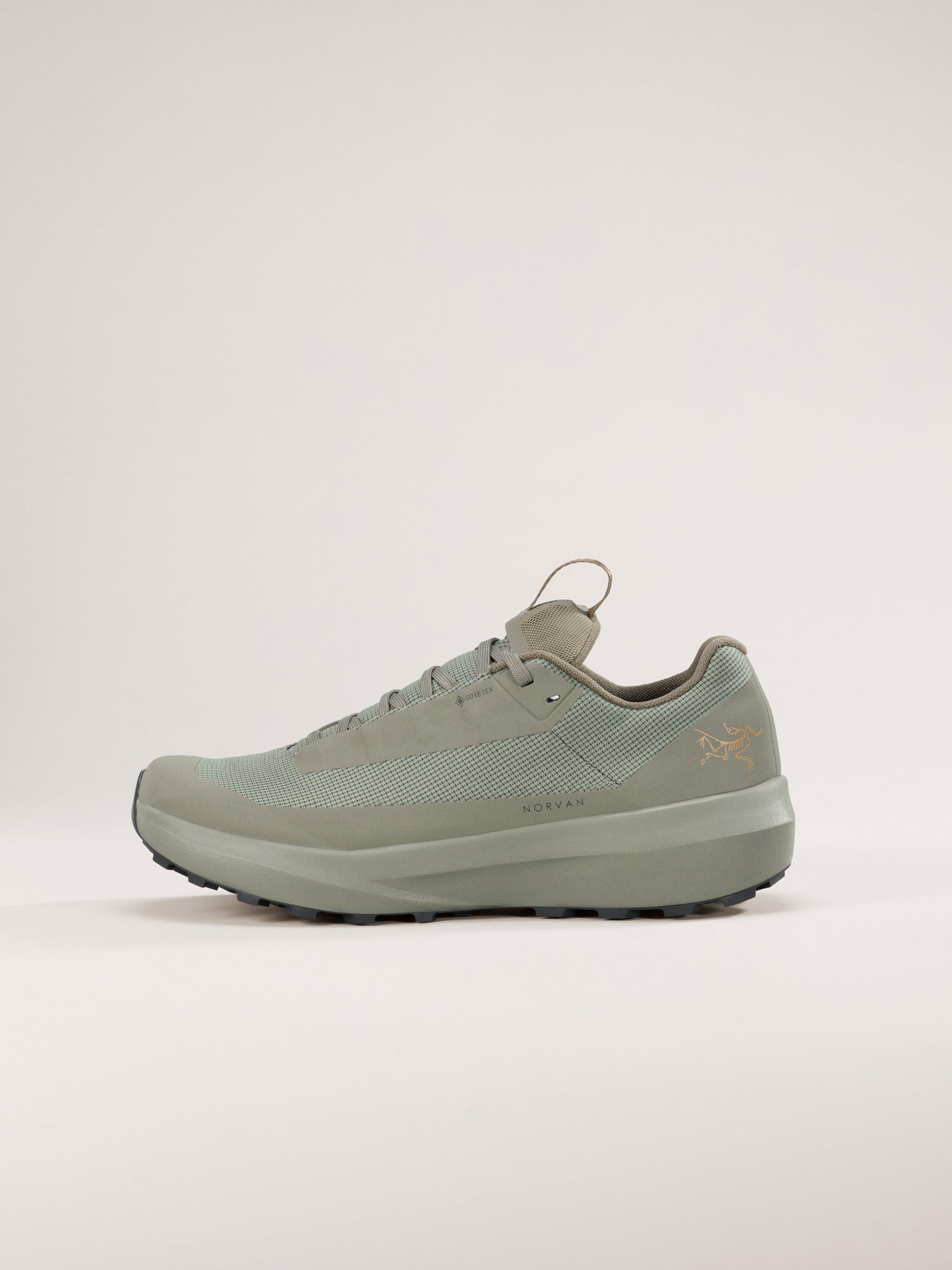 Arcteryx Outlet Norvan Ld 4 Gtx Shoe Womens Forage