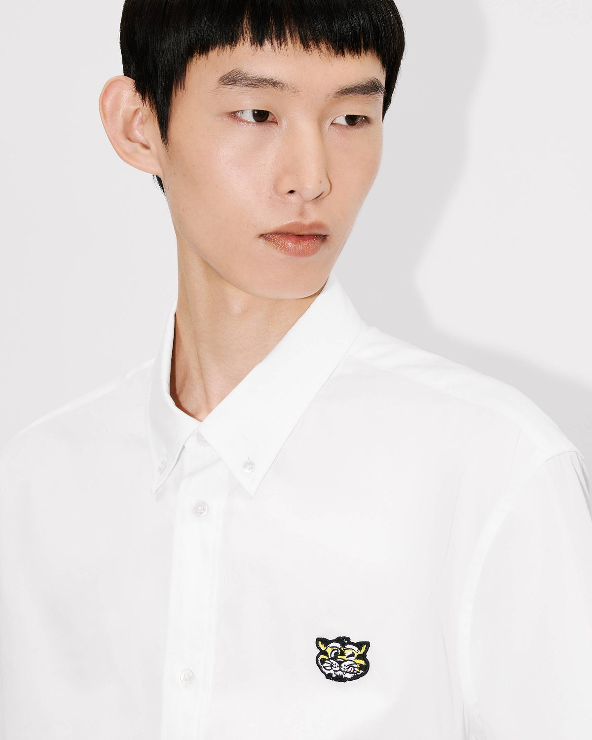 Kenzo Wild Tiger Short Sleeve Shirt In Cotton Poplin
