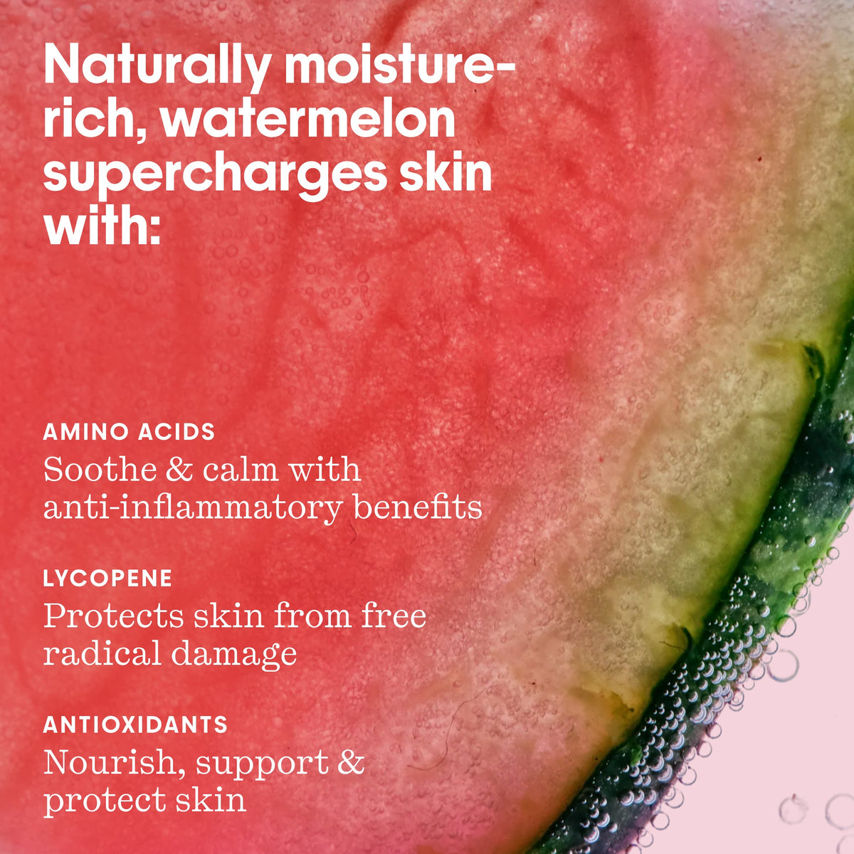 Glow Recipe Watermelon Glass Skin Essentials Kit