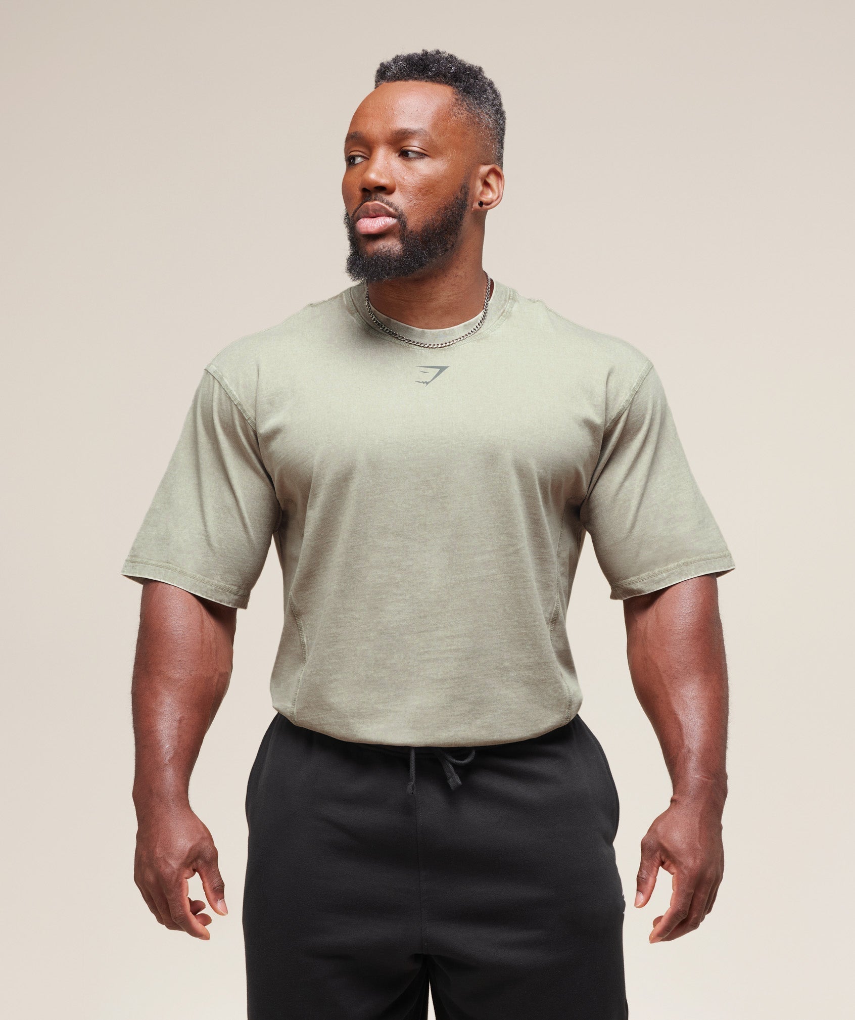 Gymshark Heritage Washed T-Shirt Stone Grey