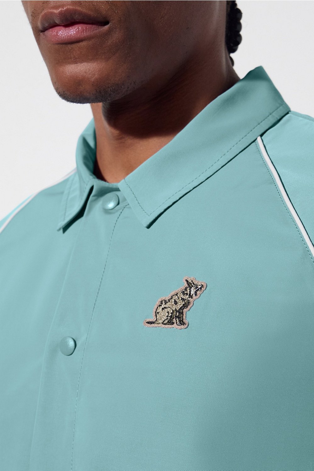 #color_pines-scene-seafoam