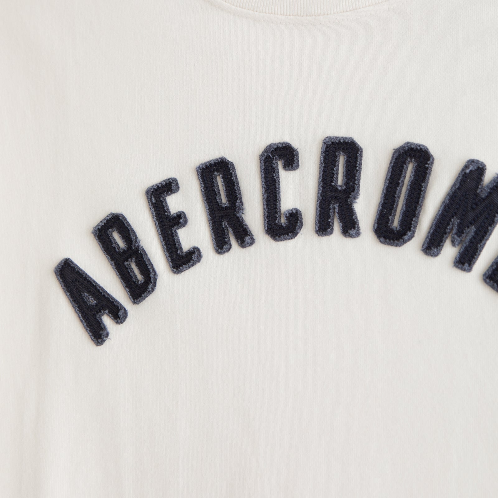 Abercrombie Premium Heavyweight 2.0 Logo Tee