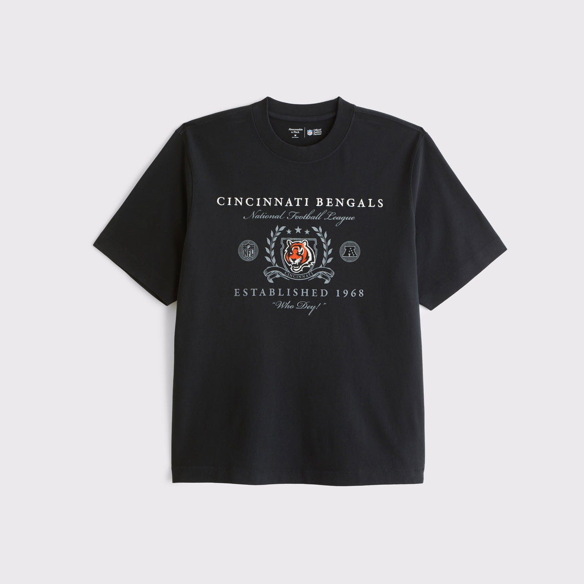 Abercrombie Tennessee Titans Premium Heavyweight 2.0 Tee