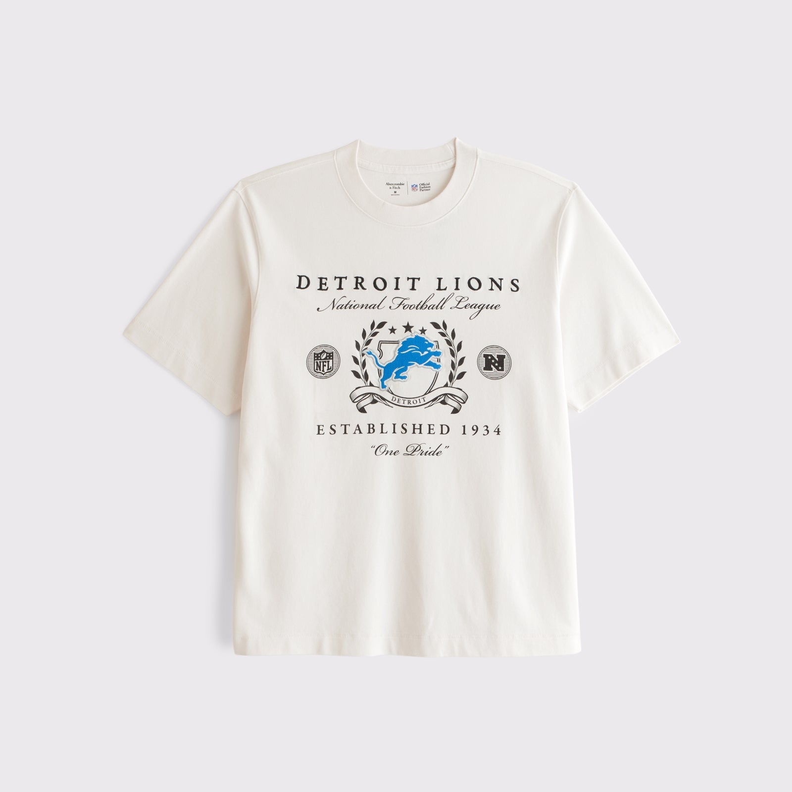 Abercrombie Tennessee Titans Premium Heavyweight 2.0 Tee