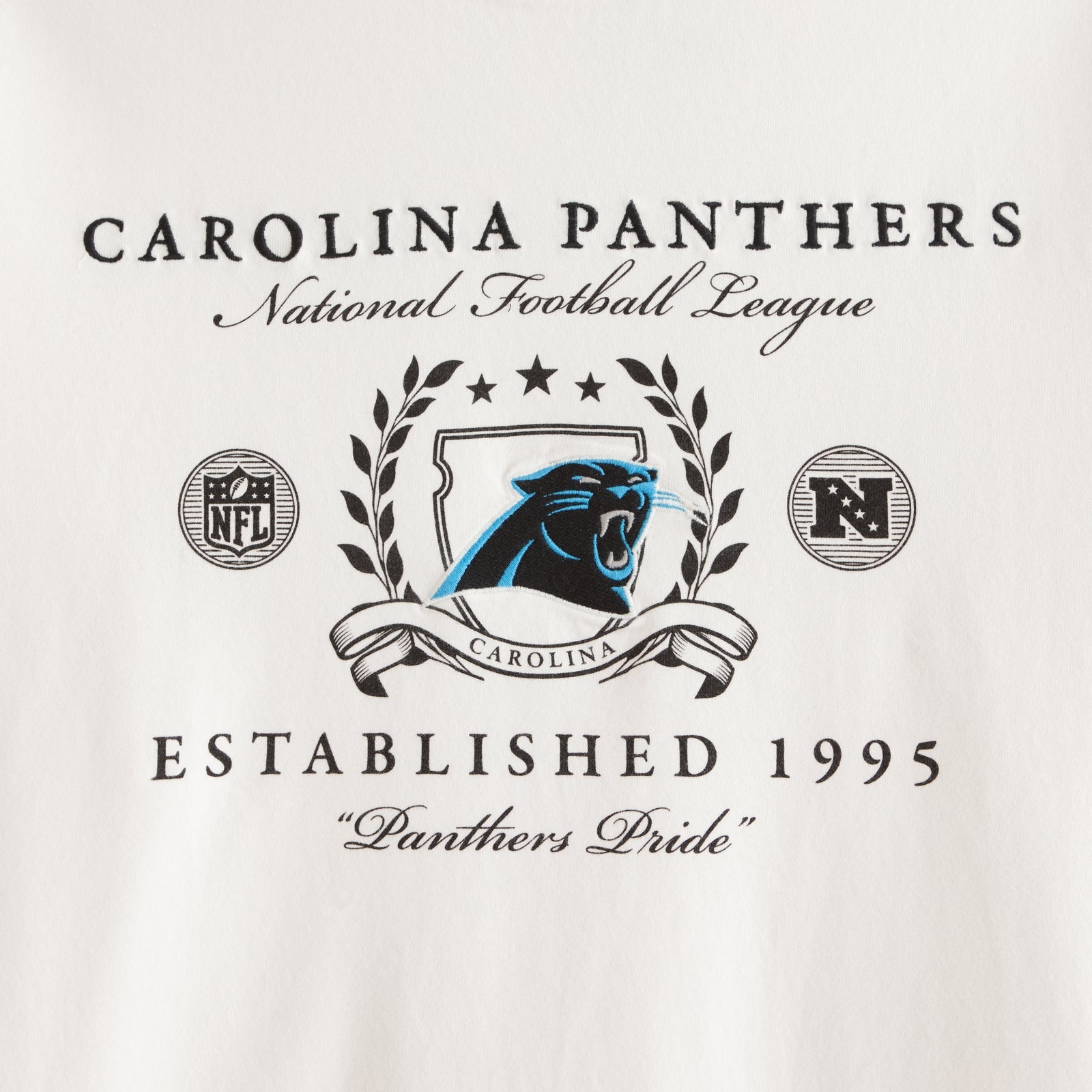 Abercrombie Tennessee Titans Premium Heavyweight 2.0 Tee