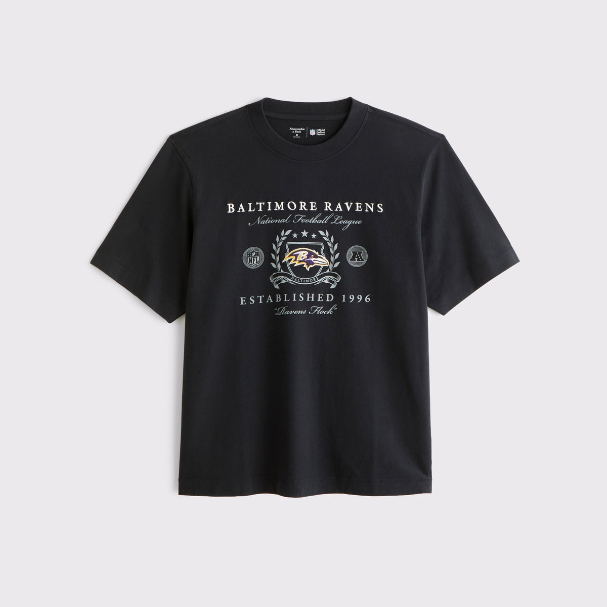 Abercrombie Tennessee Titans Premium Heavyweight 2.0 Tee
