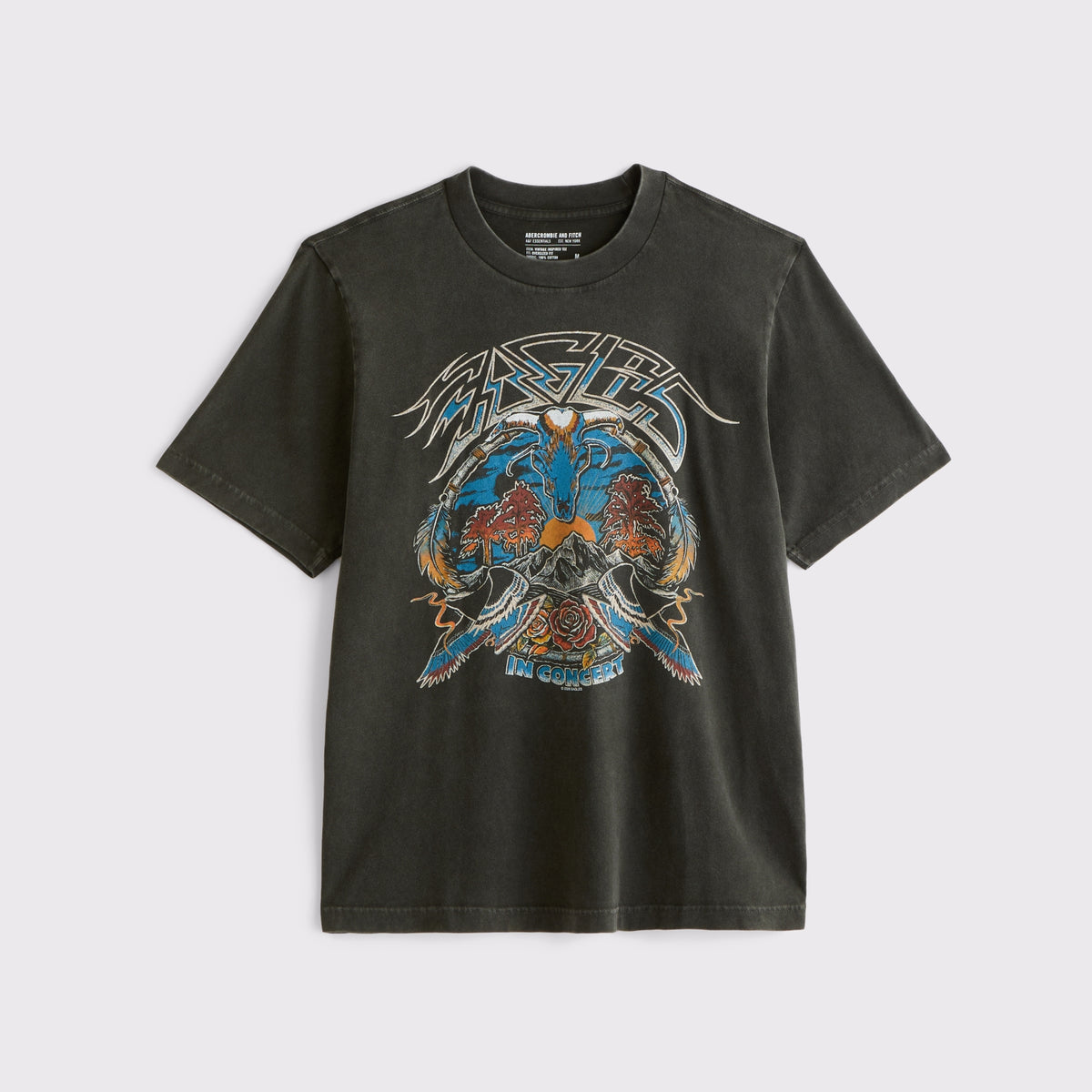 Abercrombie Eagles Vintage-Inspired Tee
