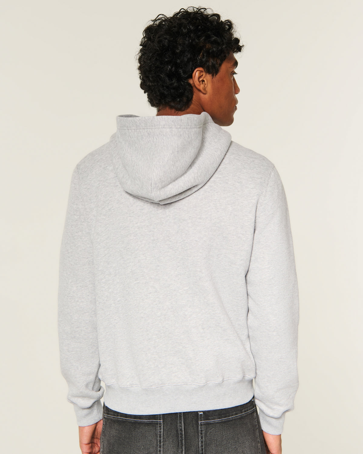 Hollister Zip-Up Icon Hoodie