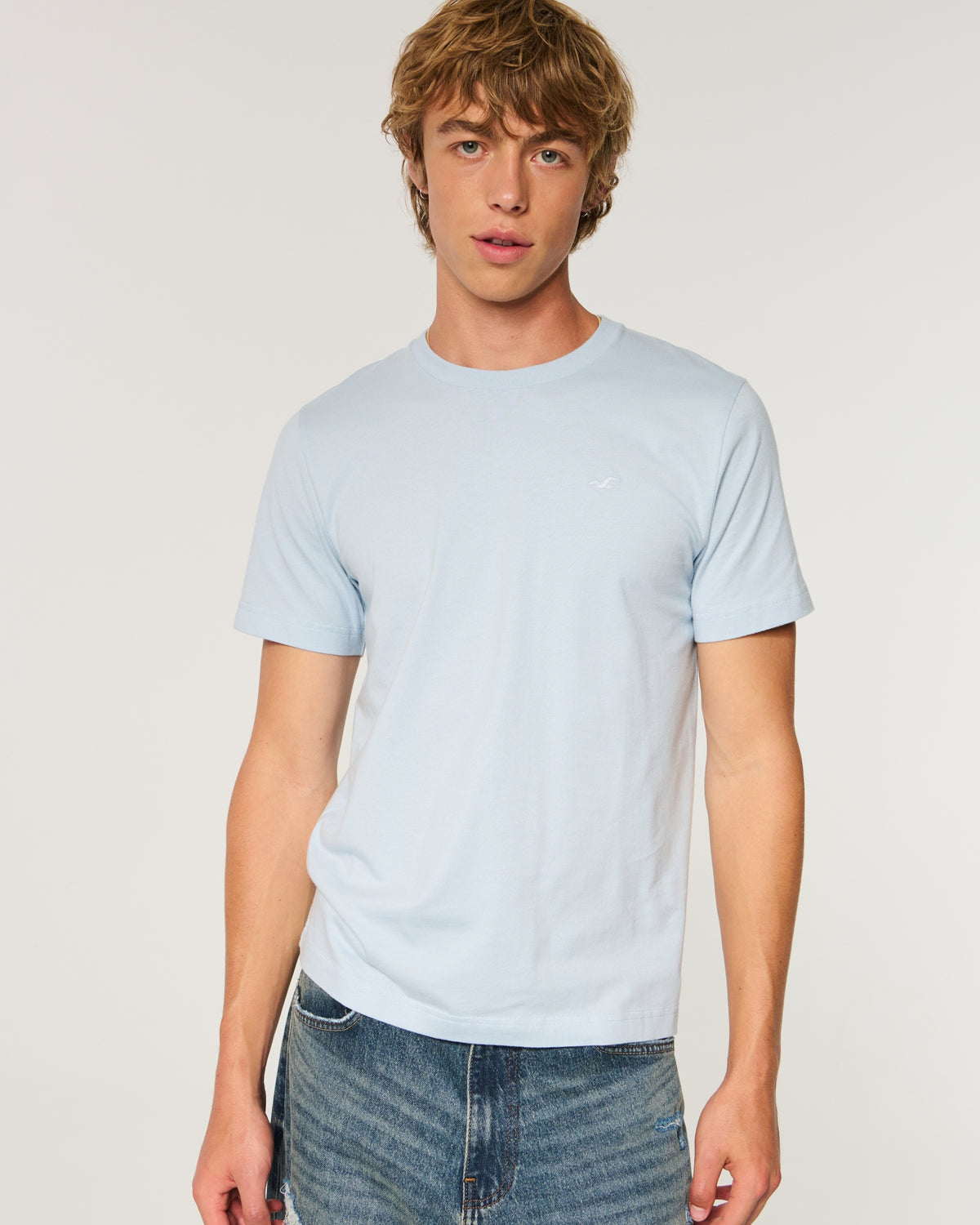 Hollister Must-Have Cotton Icon Tee