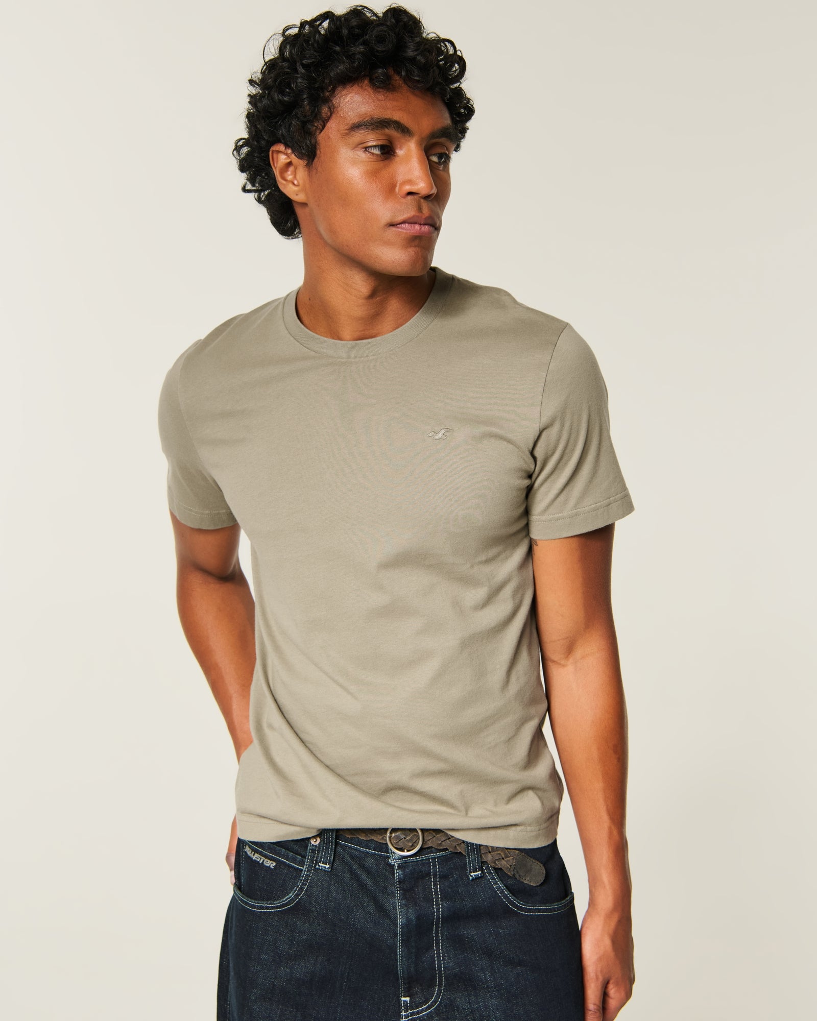 Hollister Must-Have Cotton Icon Tee