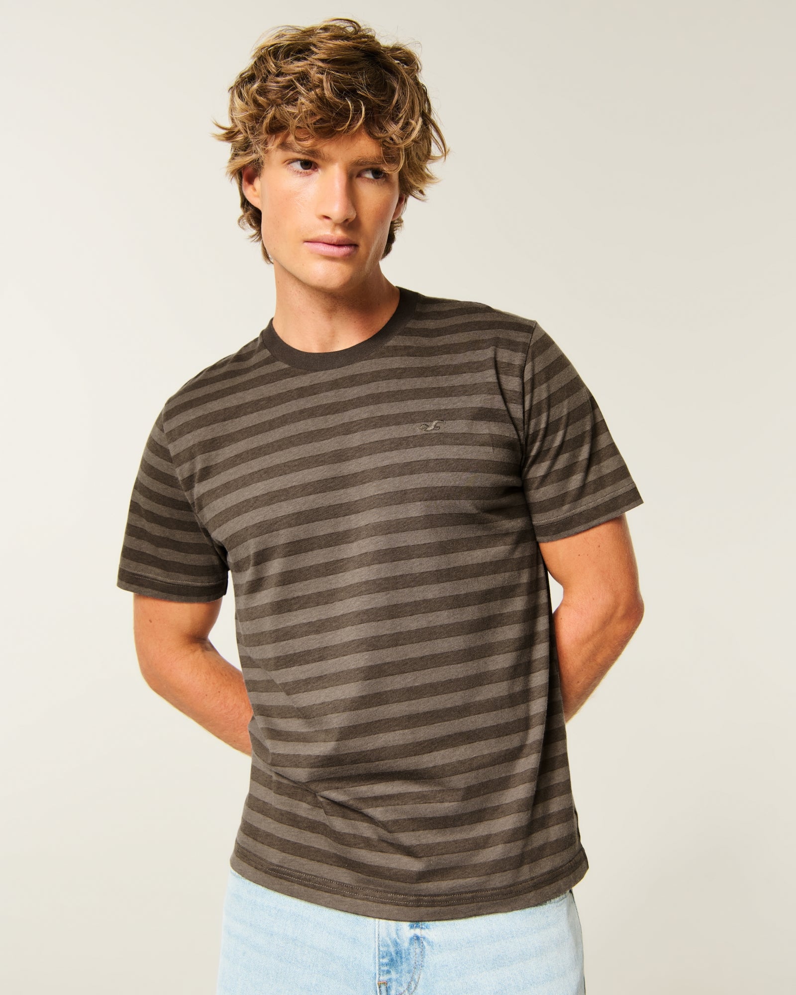 Hollister Must-Have Cotton Icon Tee