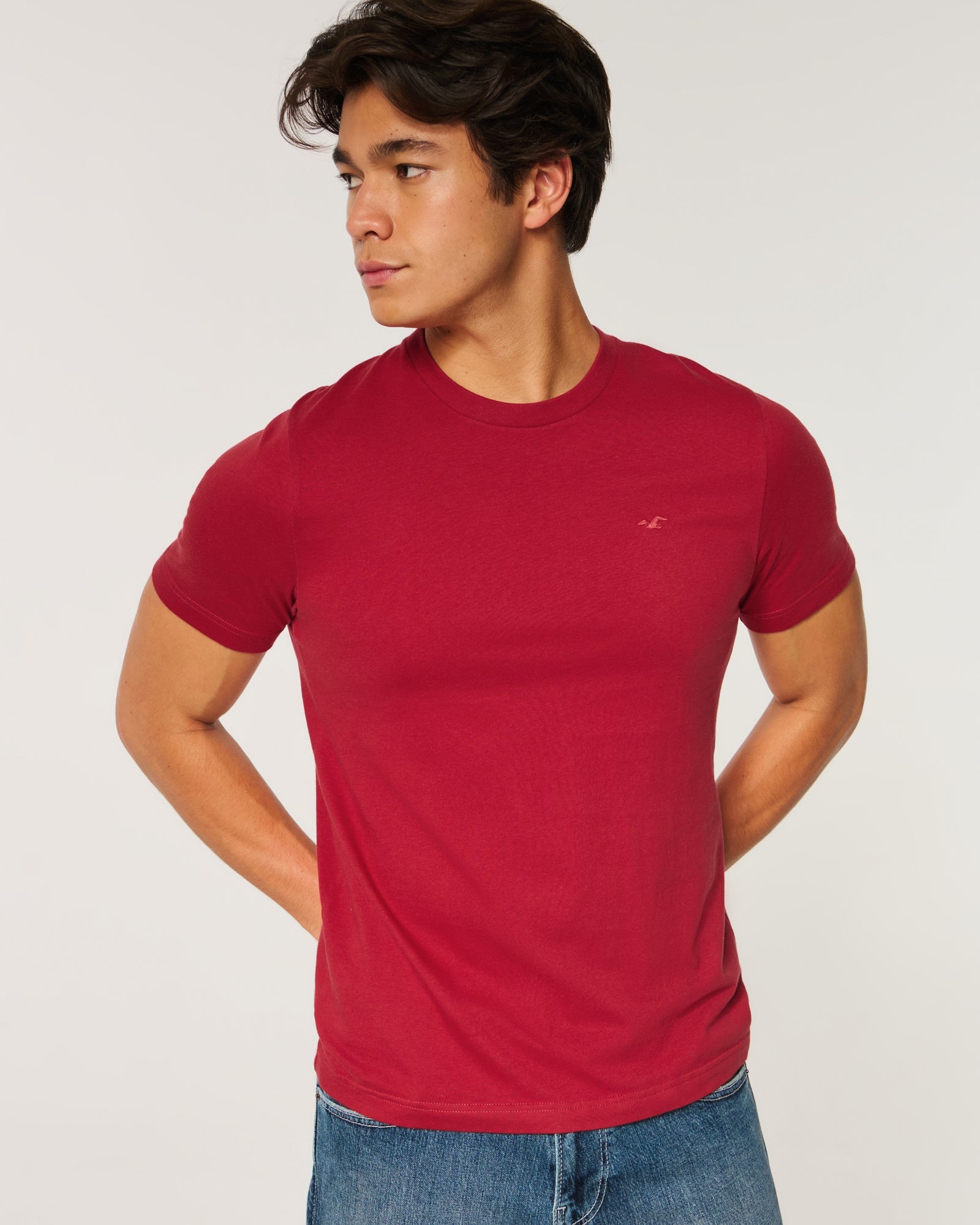 Hollister Must-Have Cotton Icon Tee