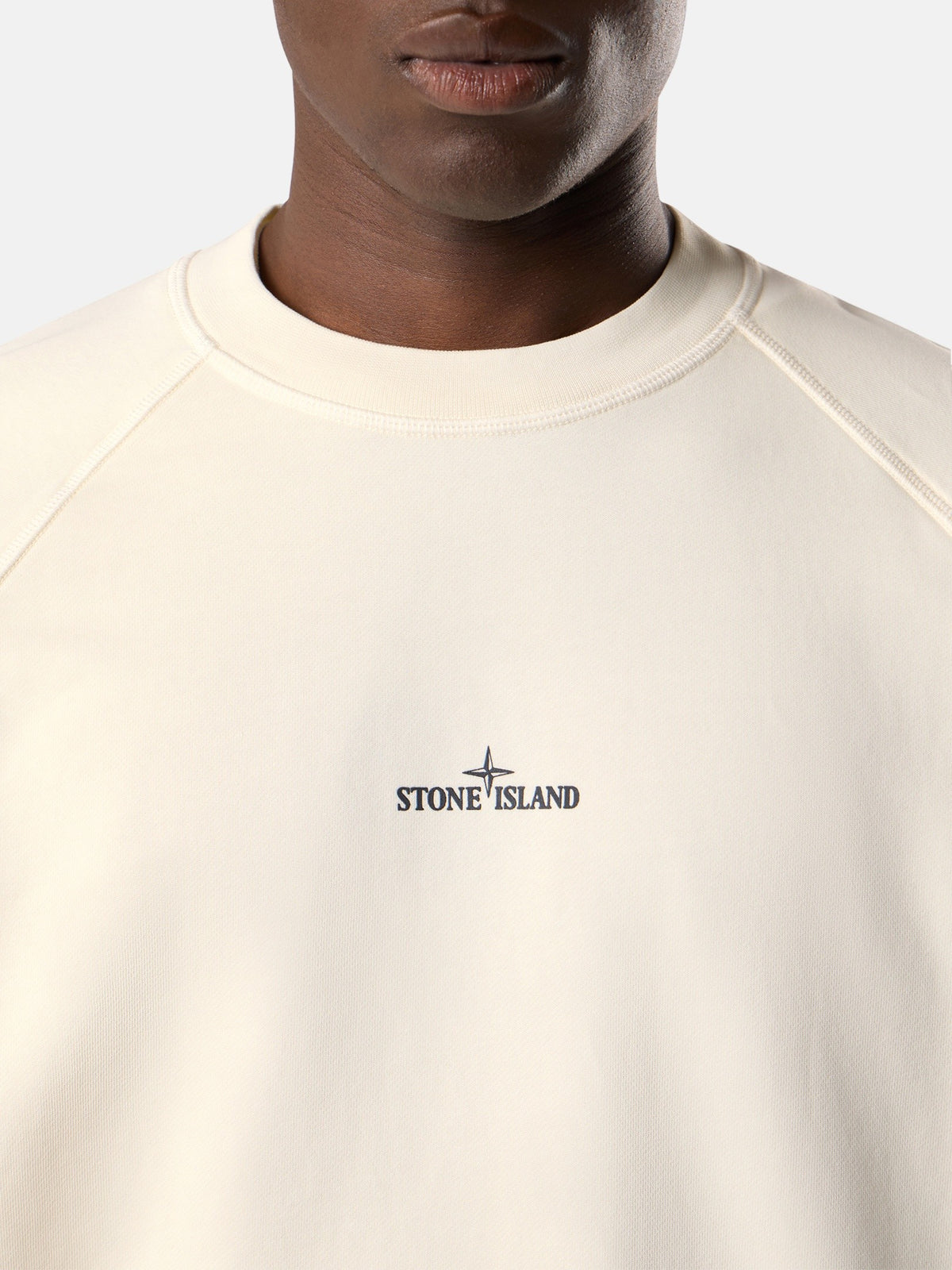 Stone Island Oversized-Fit Crewneck Sweatshirt with 'desert' Print 6100008
