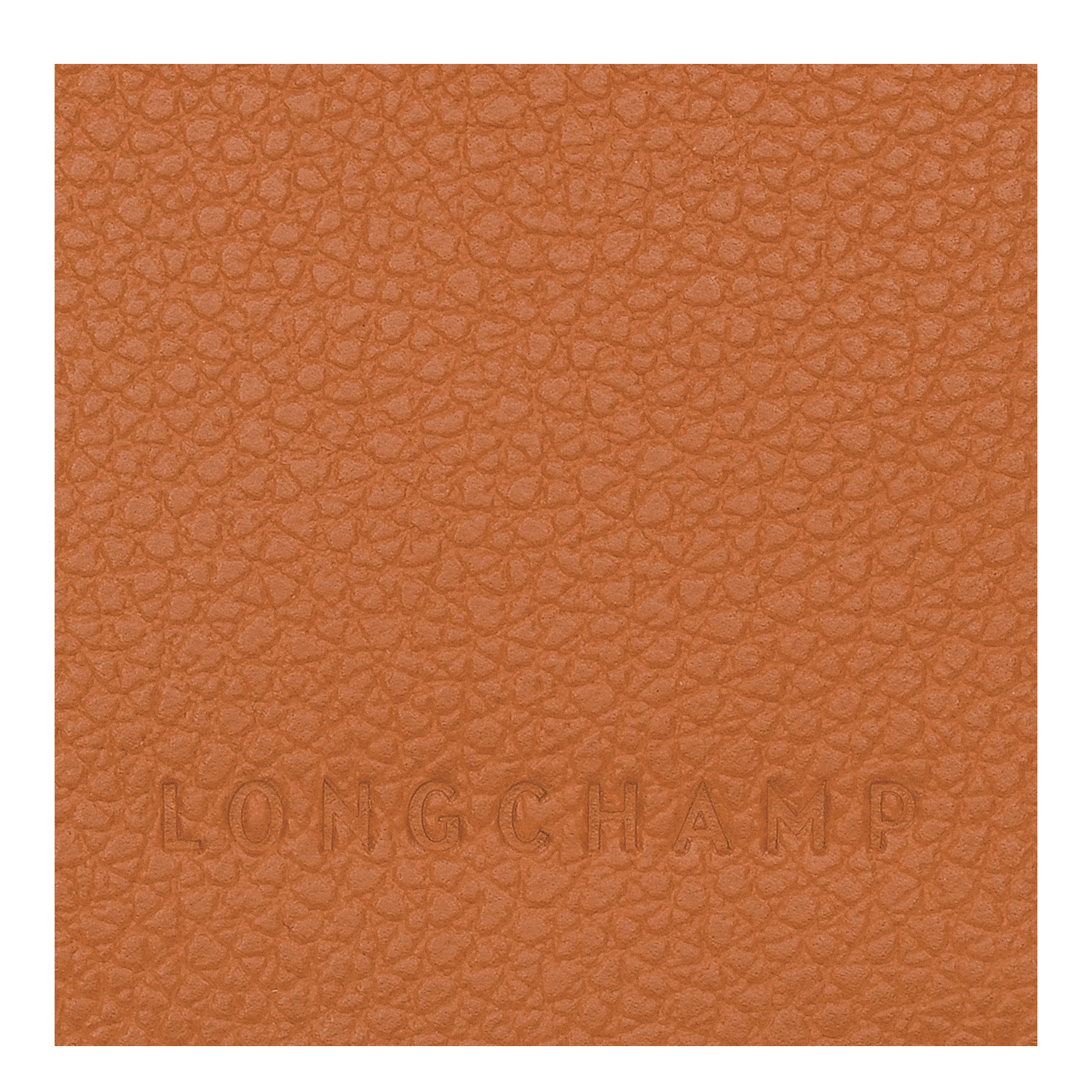 Longchamp Le Foulonné Passport cover Amber