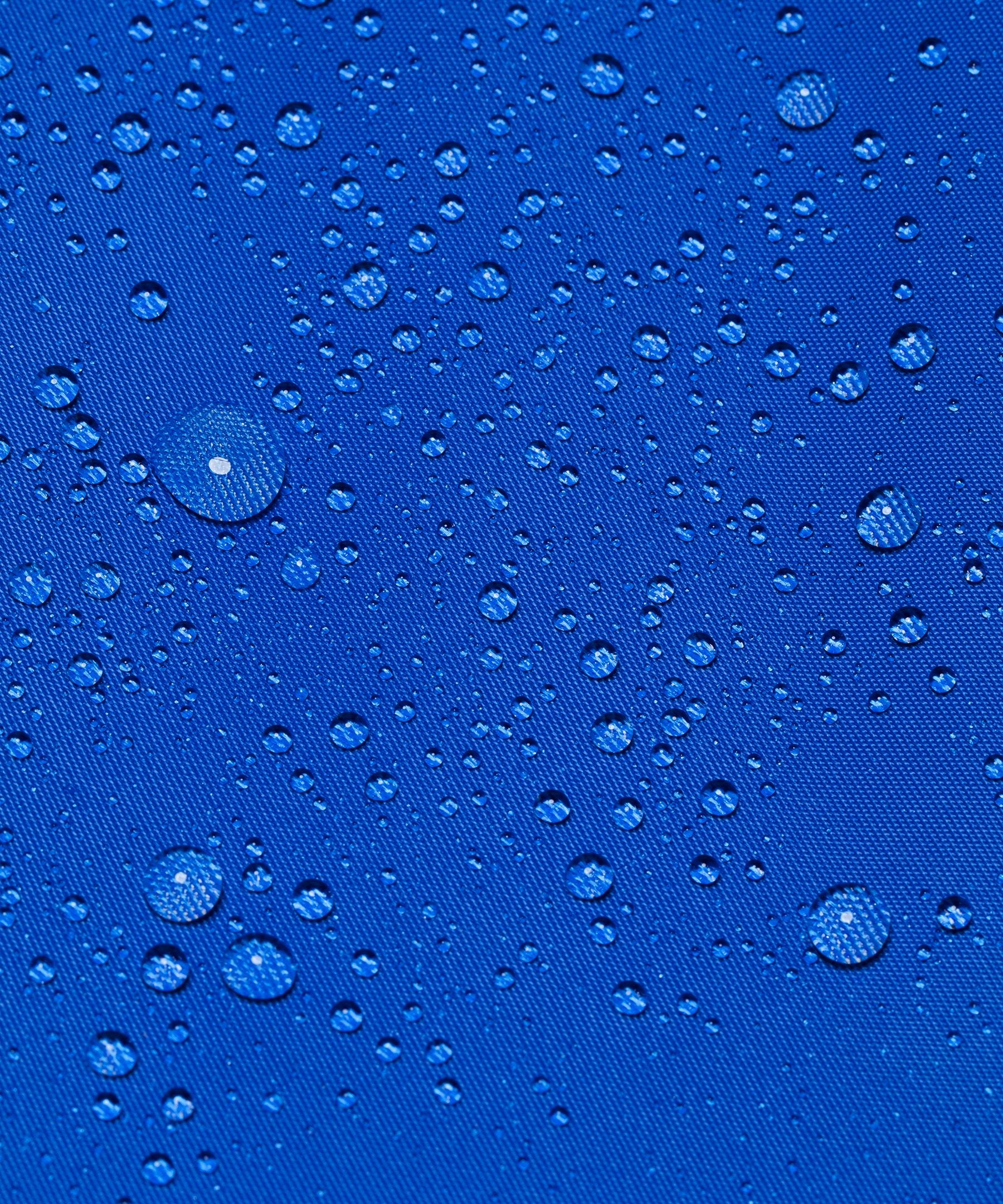 Lululemon Lunch Tote Bag 9L