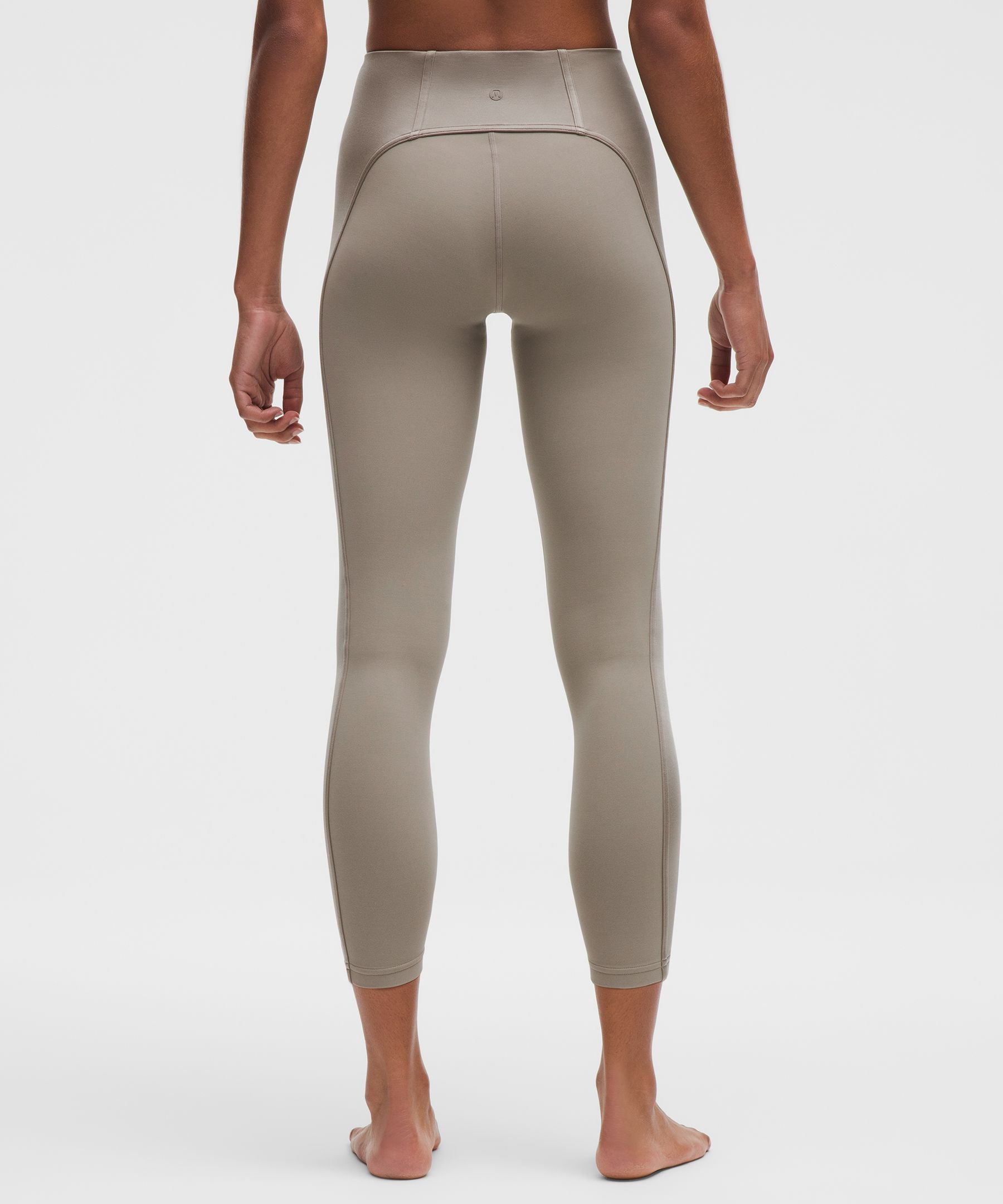 #color_warm-ash-grey