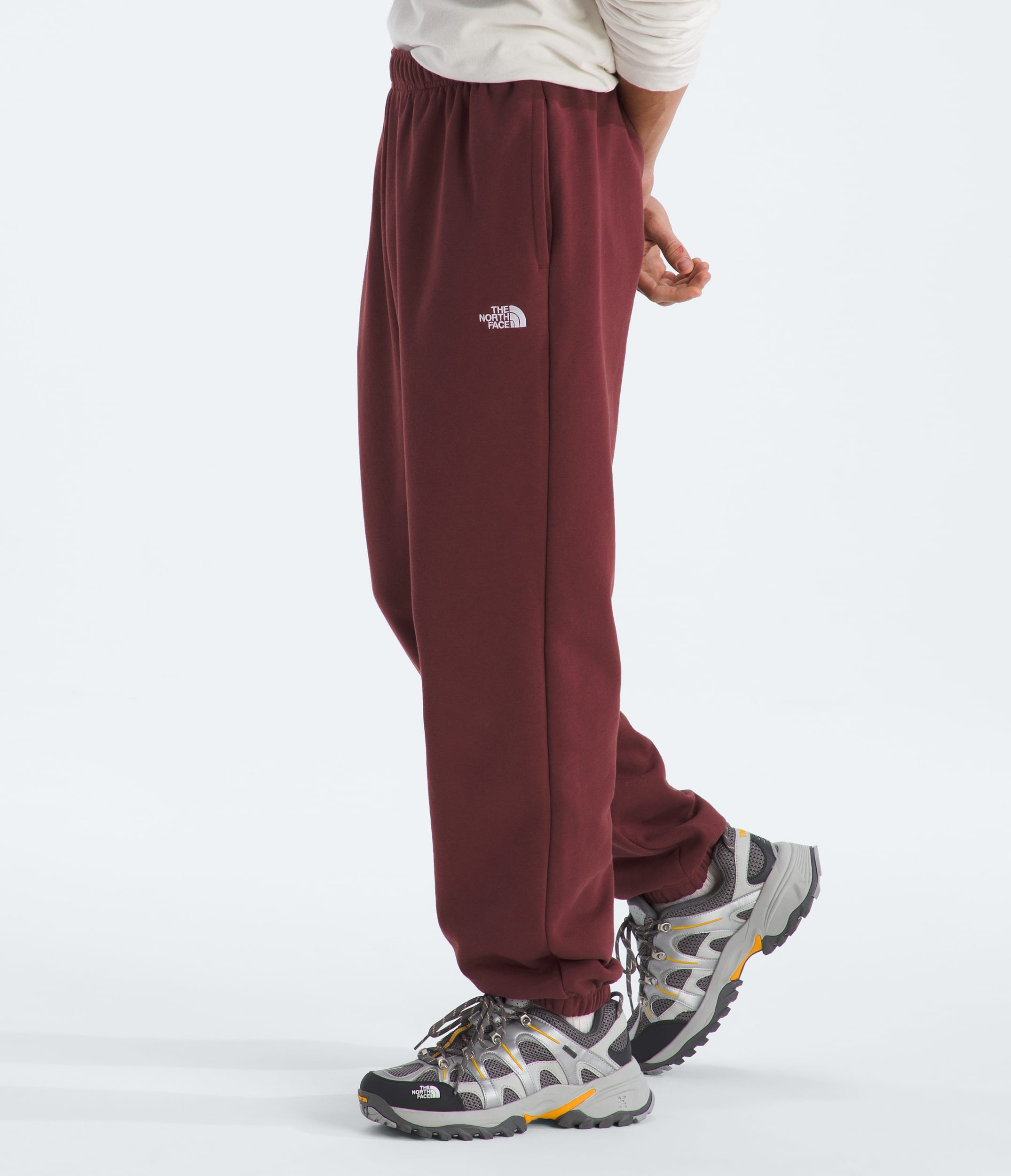 The North Face Men’s Evolution Simple Dome Regular Pants Sumac