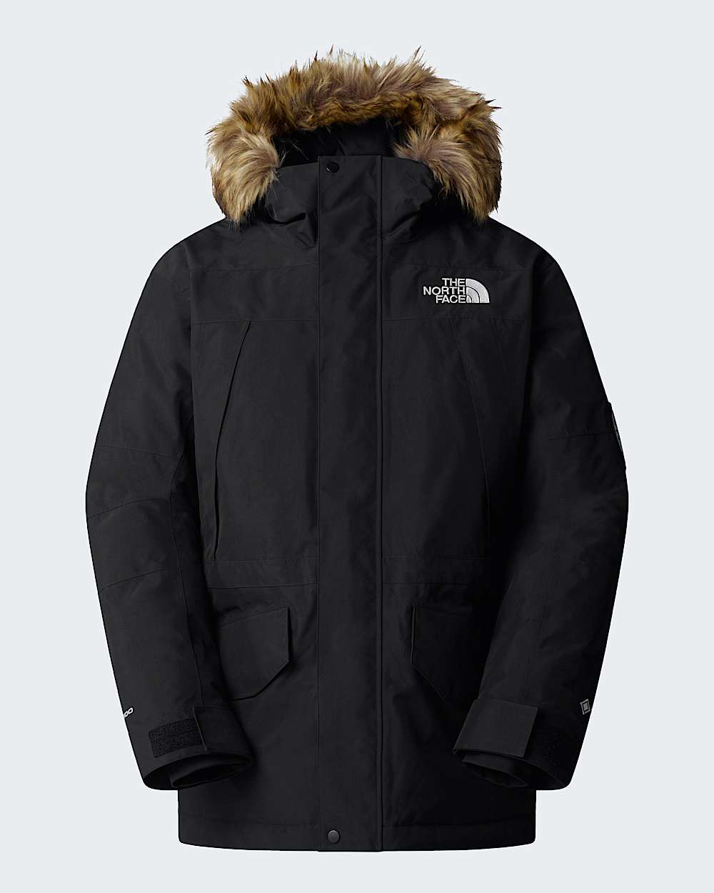 The North Face Men’s McMurdo 2L GORE-TEX® Down Parka