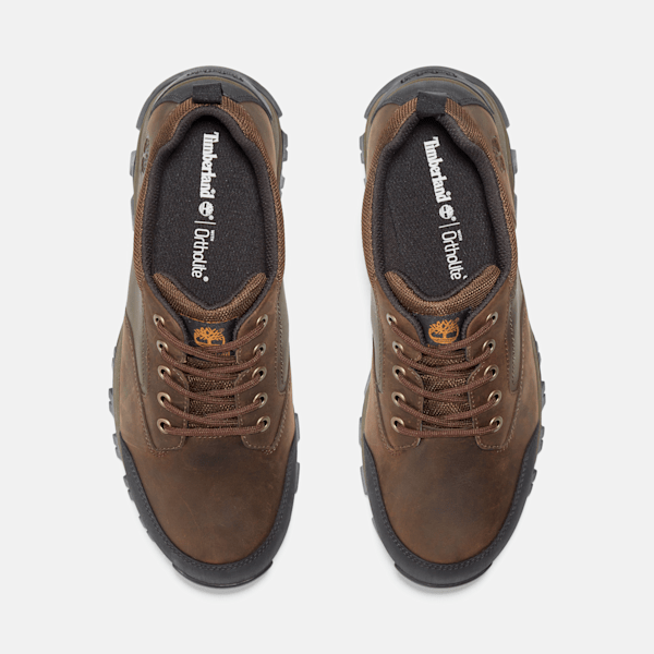 Timberland Mt Maddsen Low Waterproof Hiking Boot Brown Men'S
