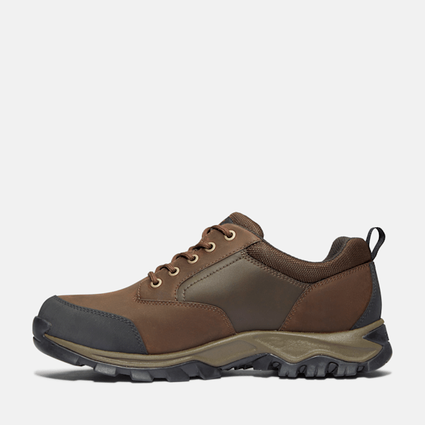 Timberland Mt Maddsen Low Waterproof Hiking Boot Brown Men'S