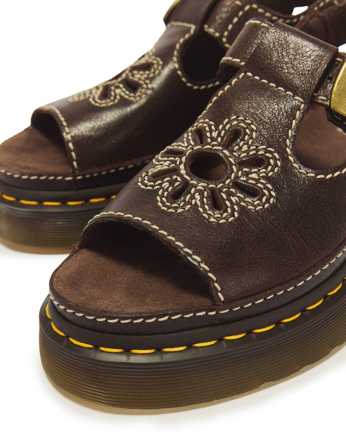 #color_kelp-brown