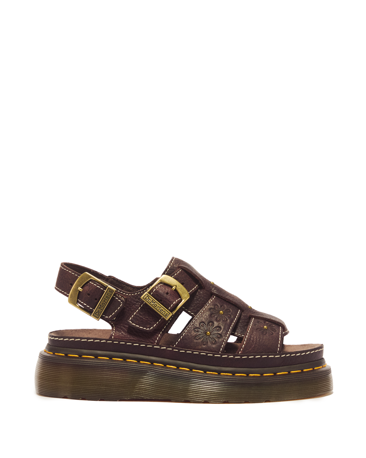 #color_dark-brown