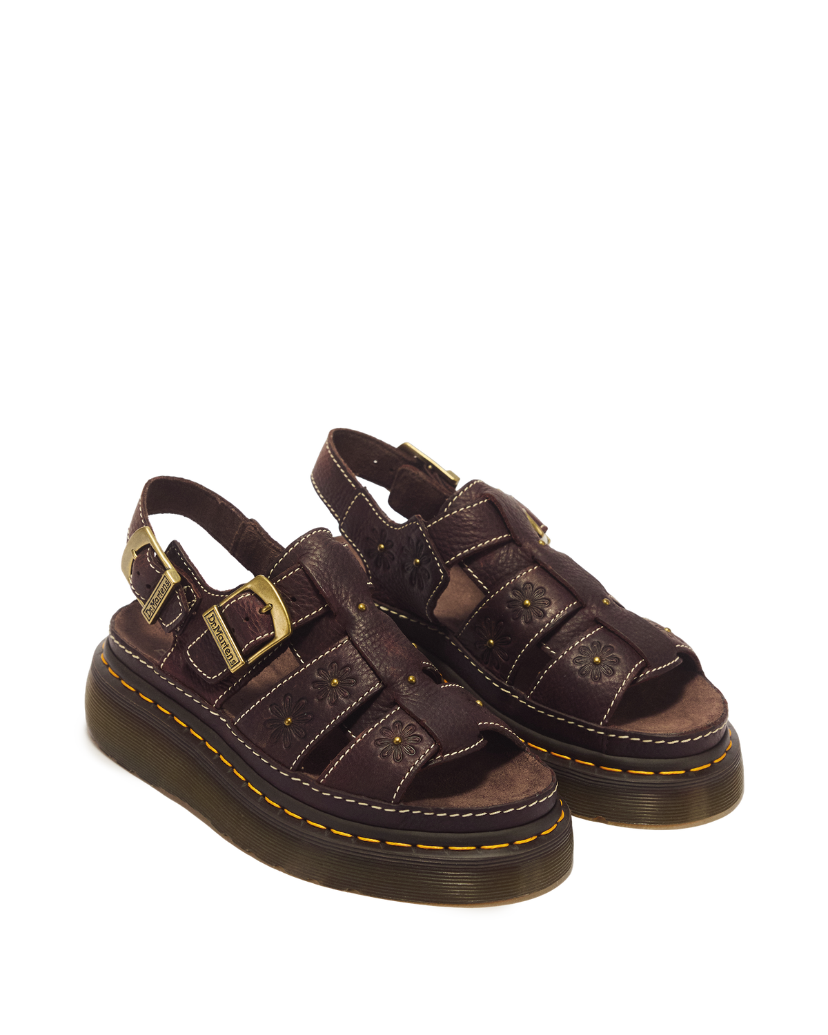 #color_dark-brown