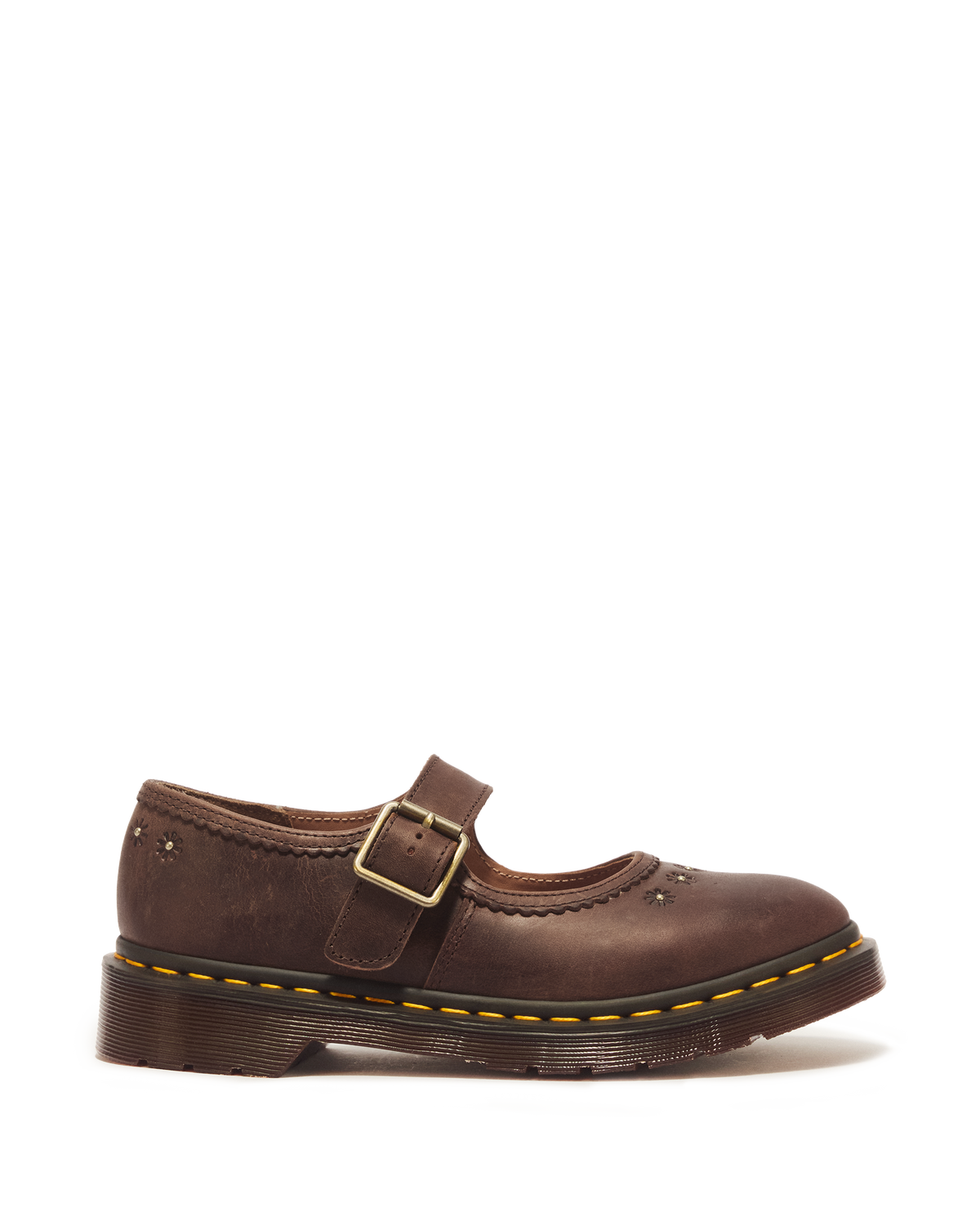 #color_dark-brown