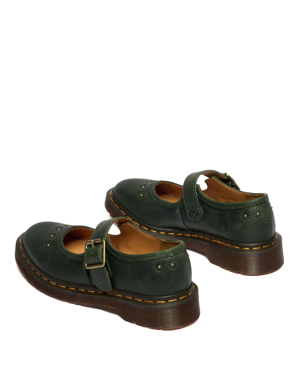 #color_dms-green