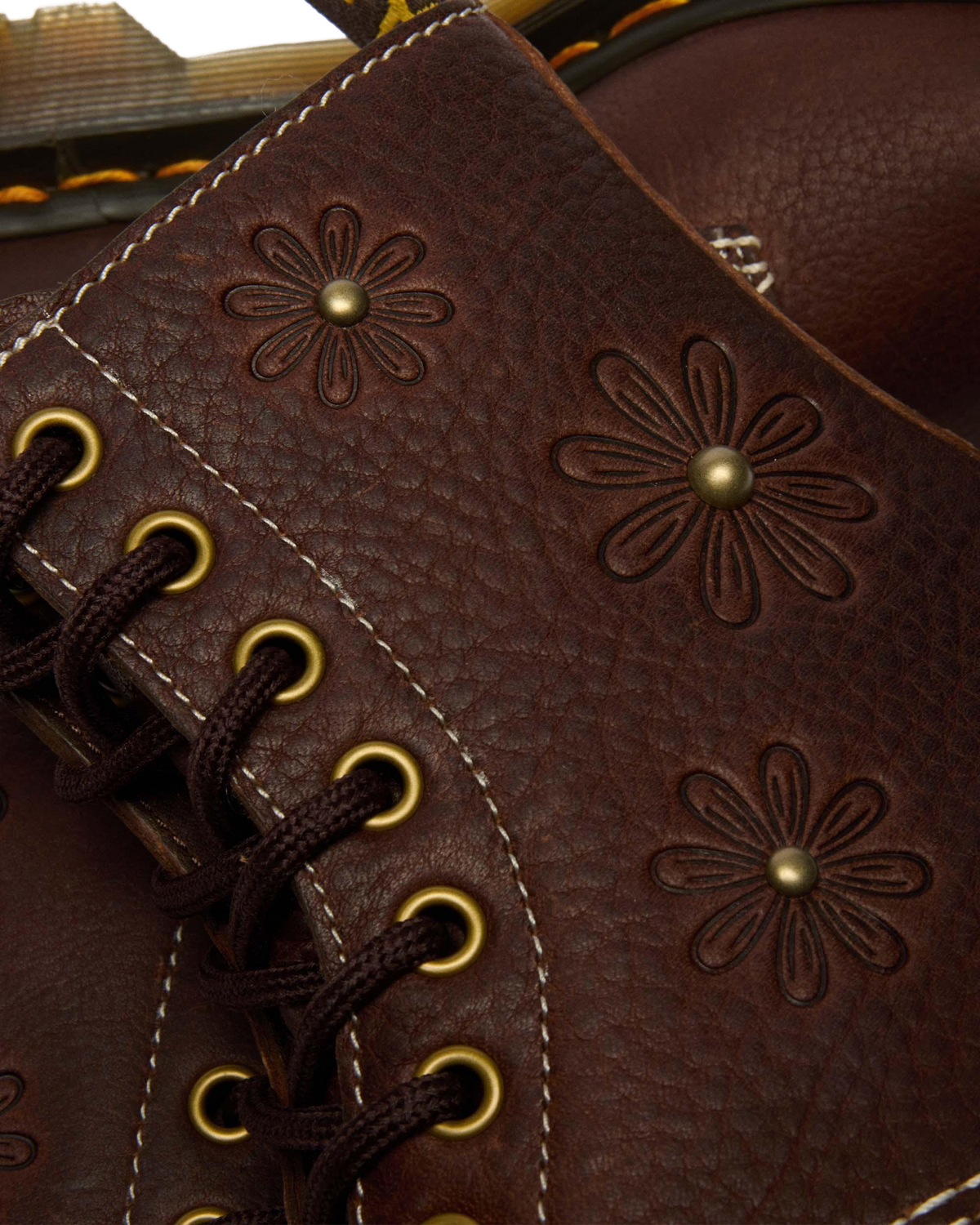#color_dark-brown