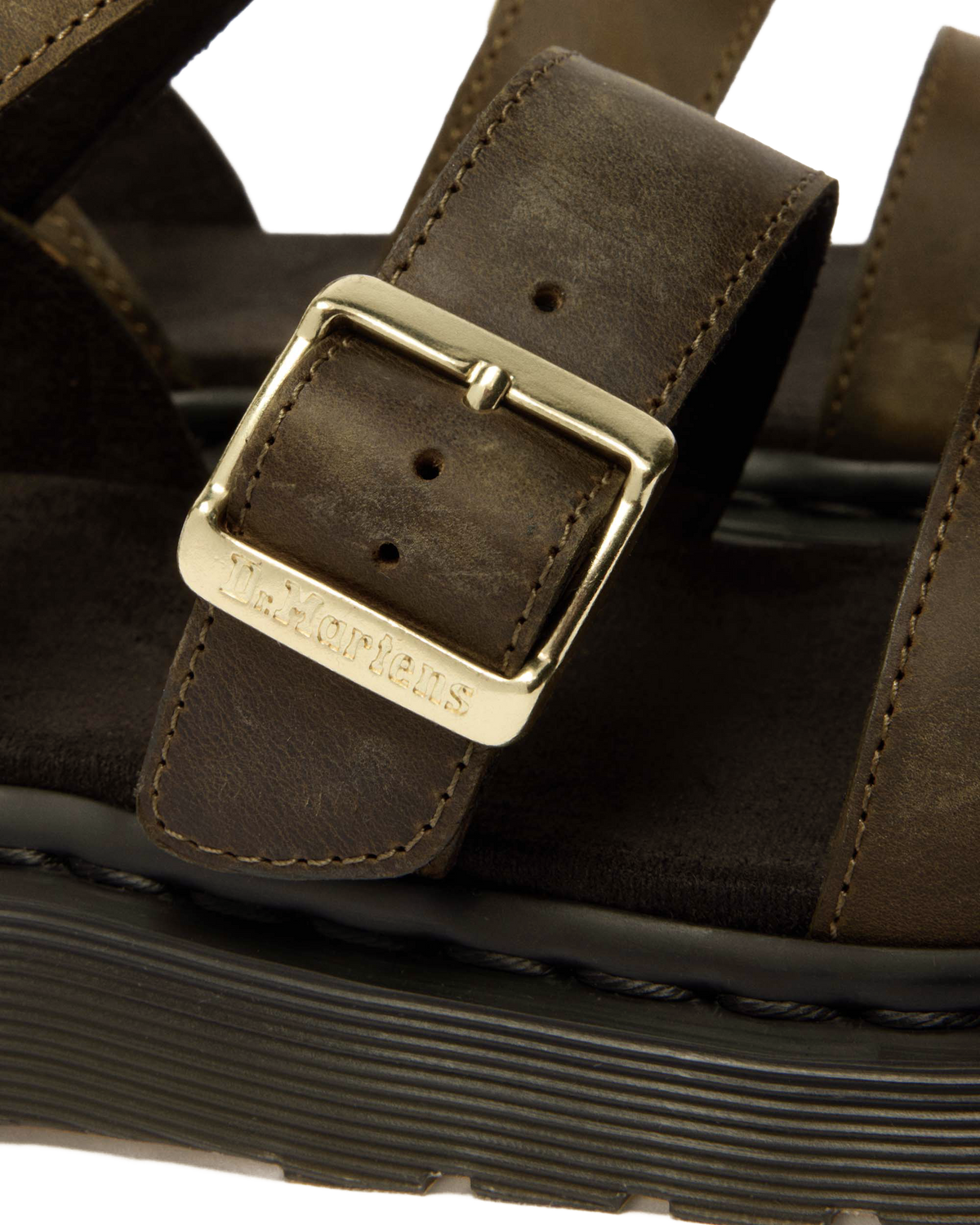 #color_dms-olive
