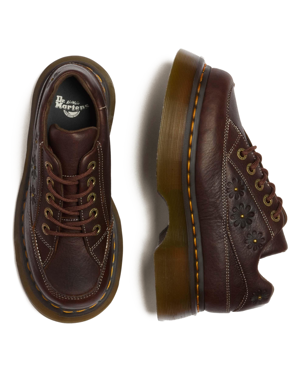 #color_dark-brown