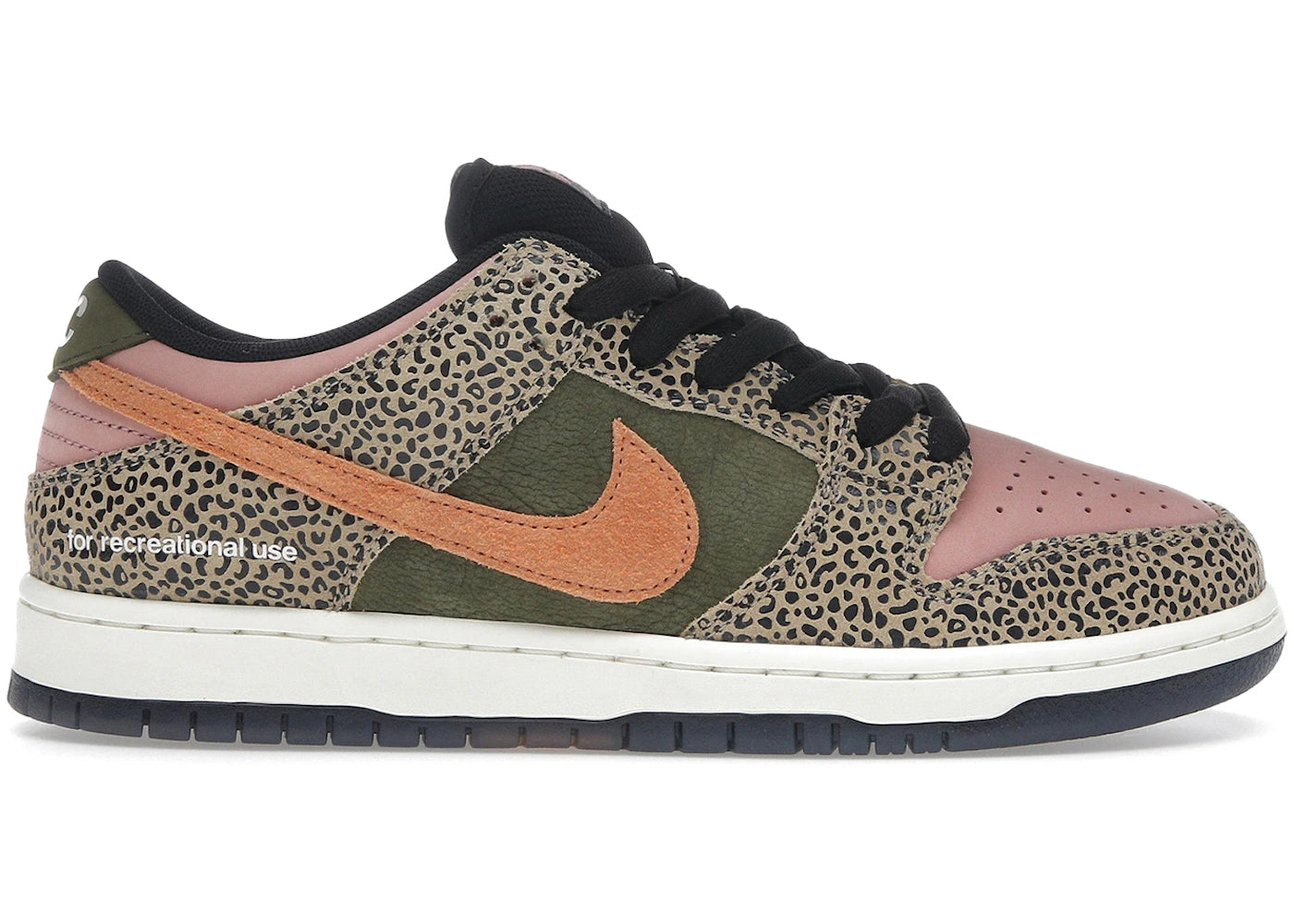 Nike Sb Dunk Low Pro Arts-Rec (Special Box)