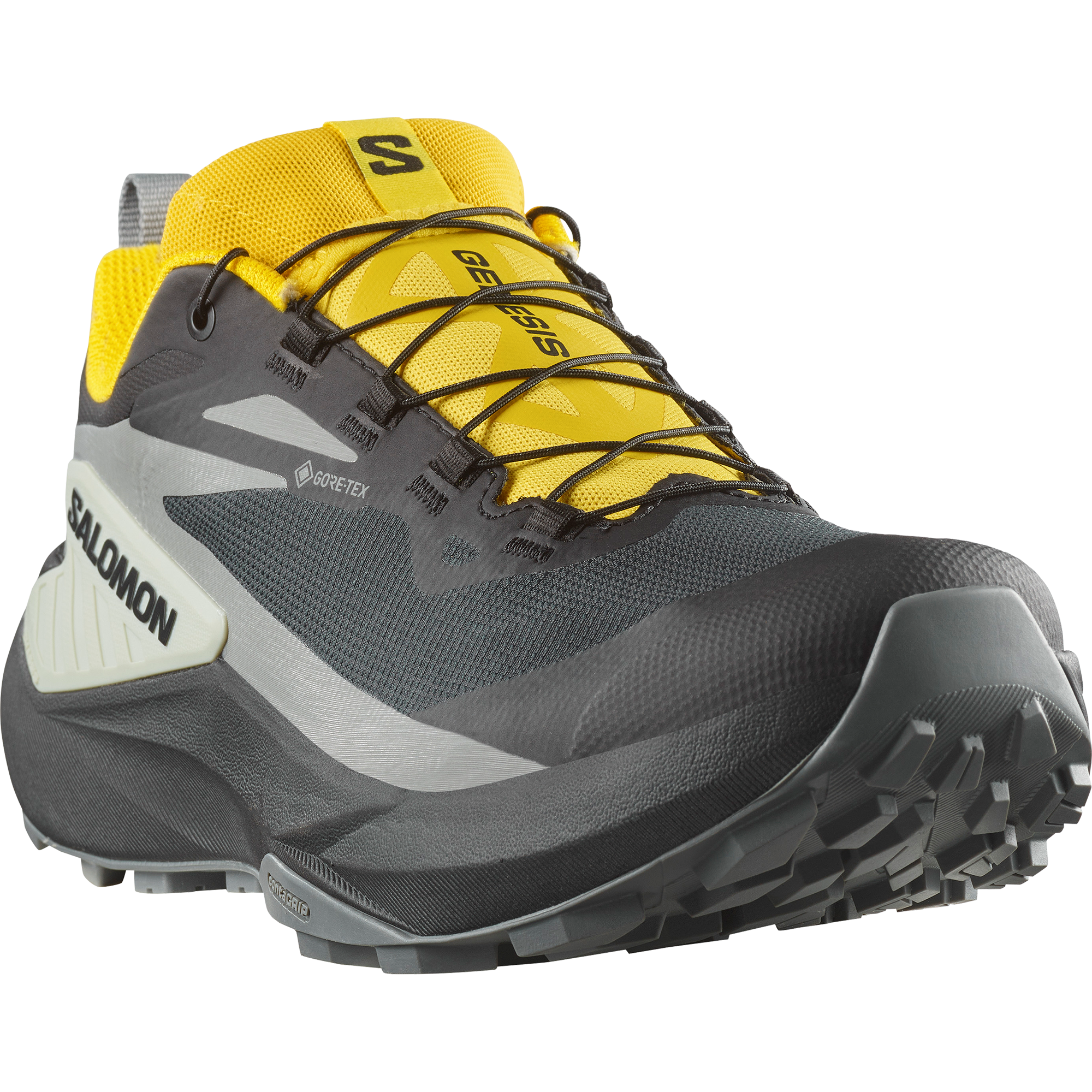 Salomon Genesis Gore-Tex Trail Running Black