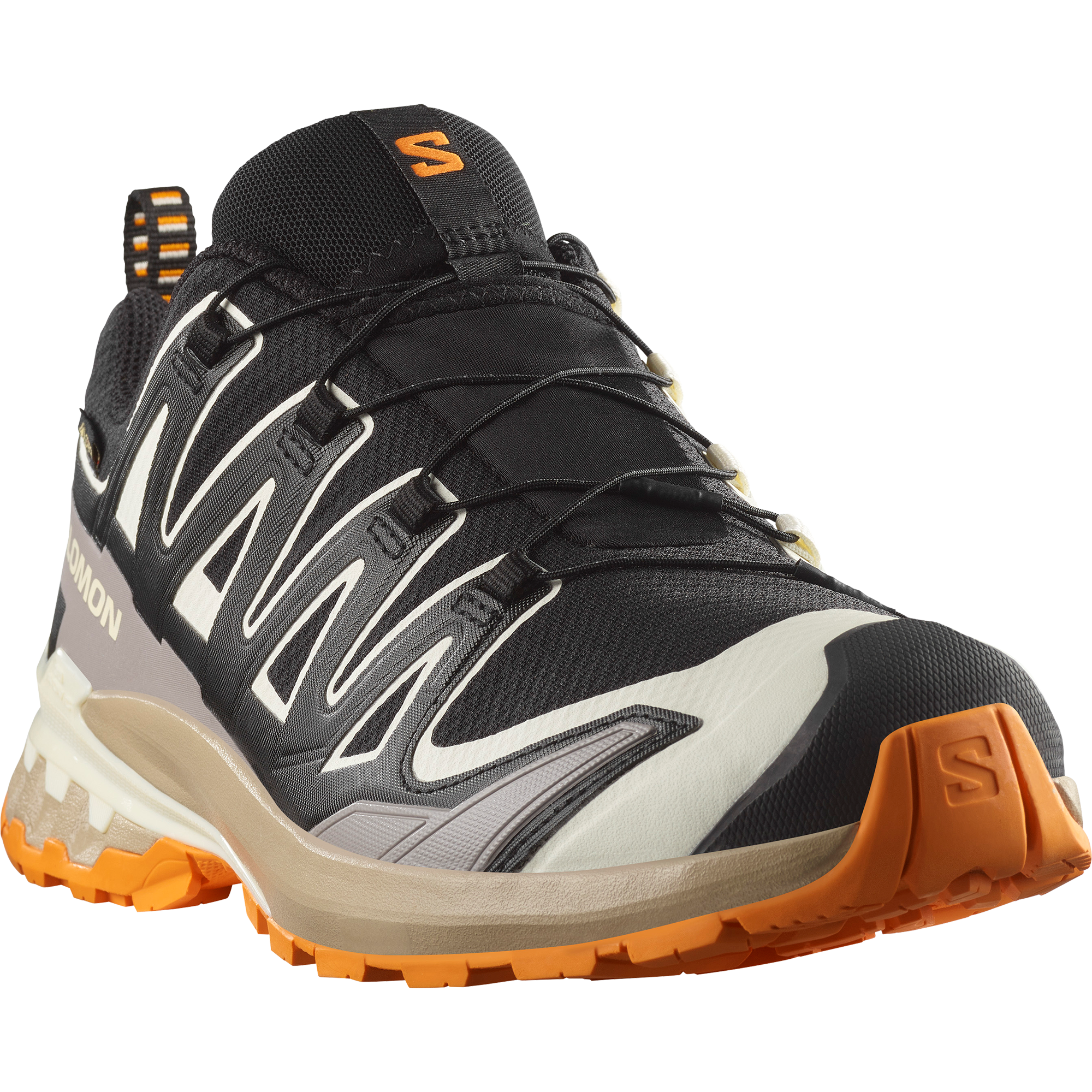 Salomon Xa Pro 3D V9 Gore-Tex Trail Running Shoes Black