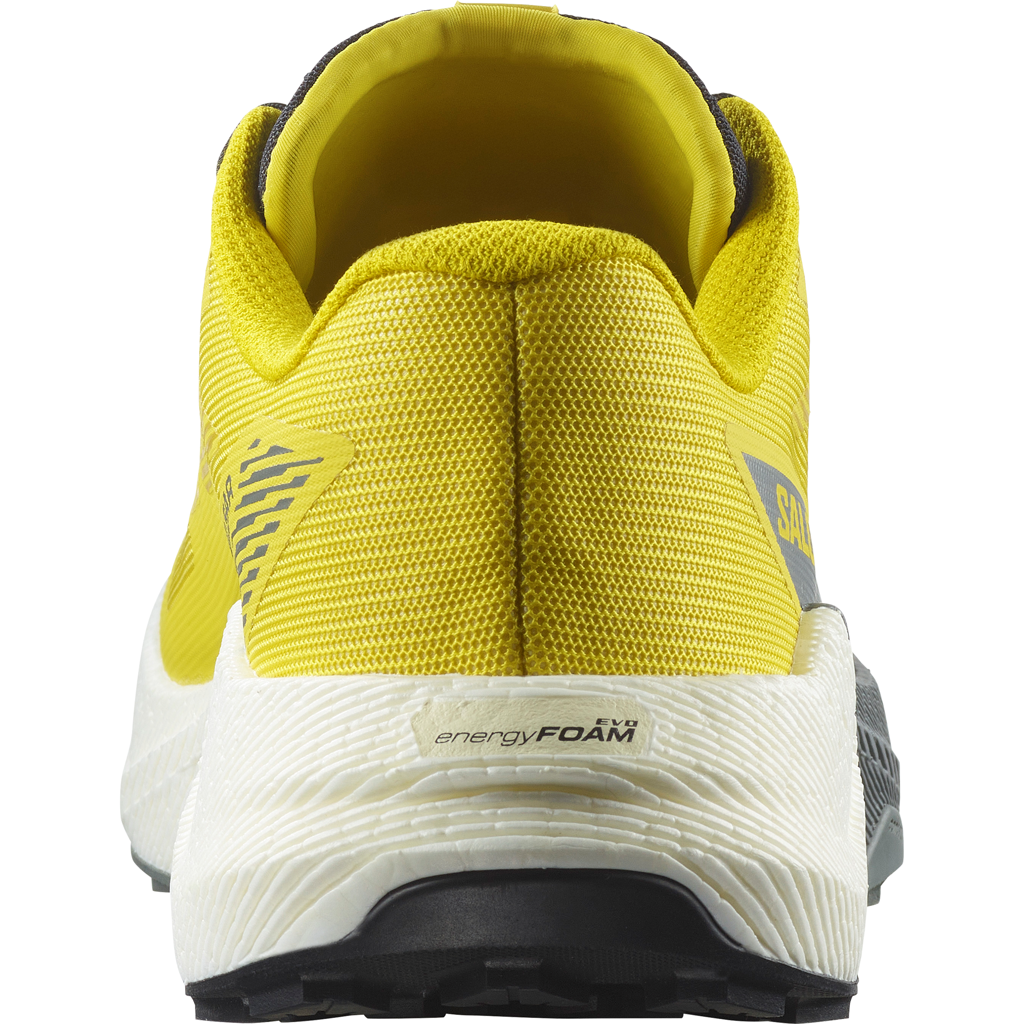 Salomon Pulsar Trail Running Shoes Incaberry
