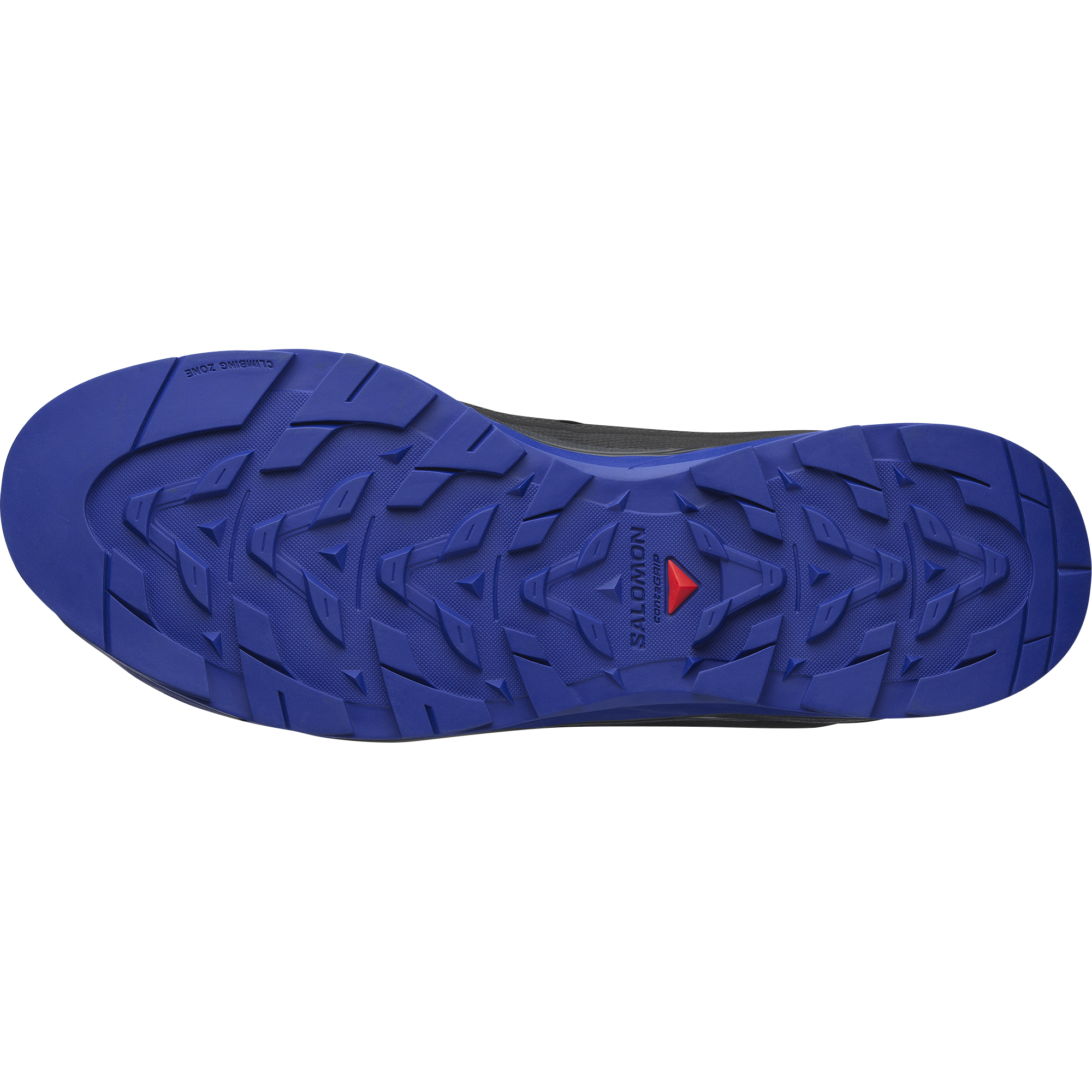 Salomon X-Alp Recon Sneakers Black