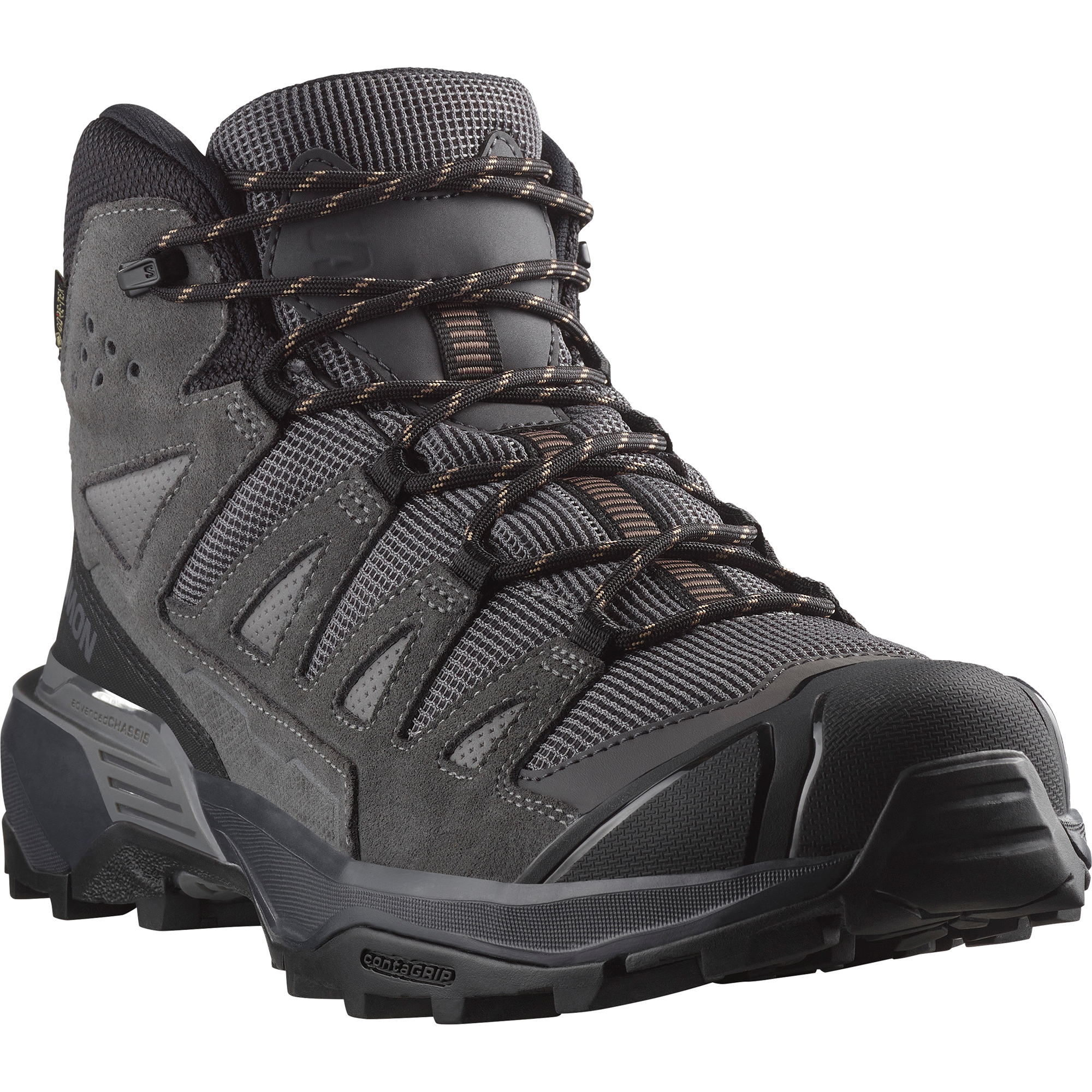 Salomon X Ultra 360 Leather Mid Gore-Tex Hiking & Backpacking Shoes Castlerock