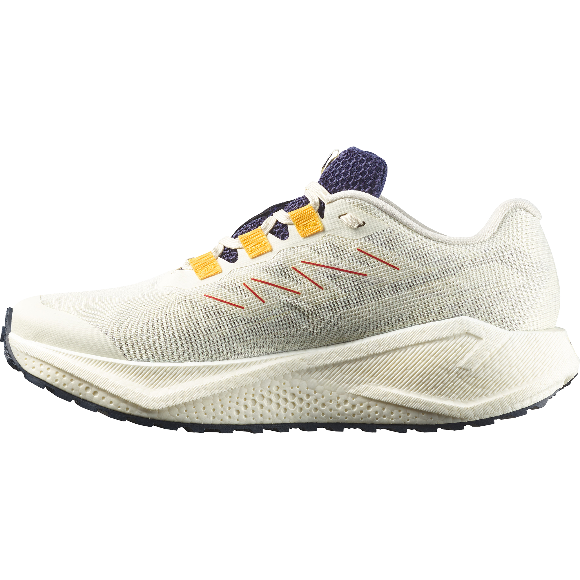Salomon Aero Blaze 3 Grvl Gore-Tex Gravel Running Shoes Vanilla Ice